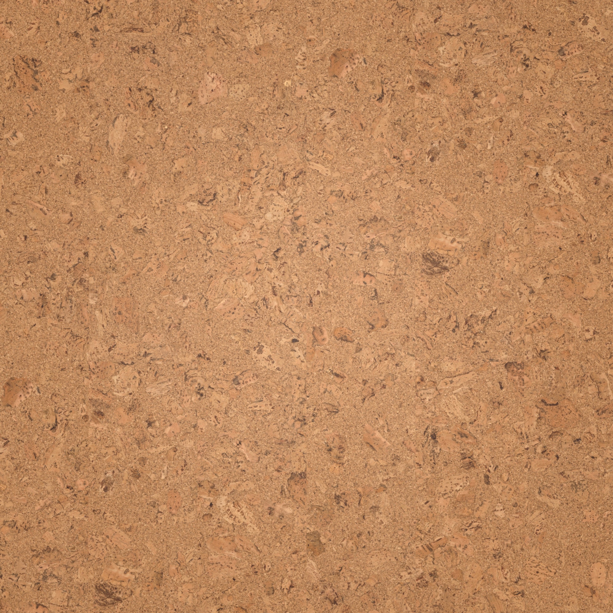 Draufsicht - Wicanders Wise HDF Klick-Korkboden cork Essence Originals Shell Draufsicht - Wicanders Wise 80002239