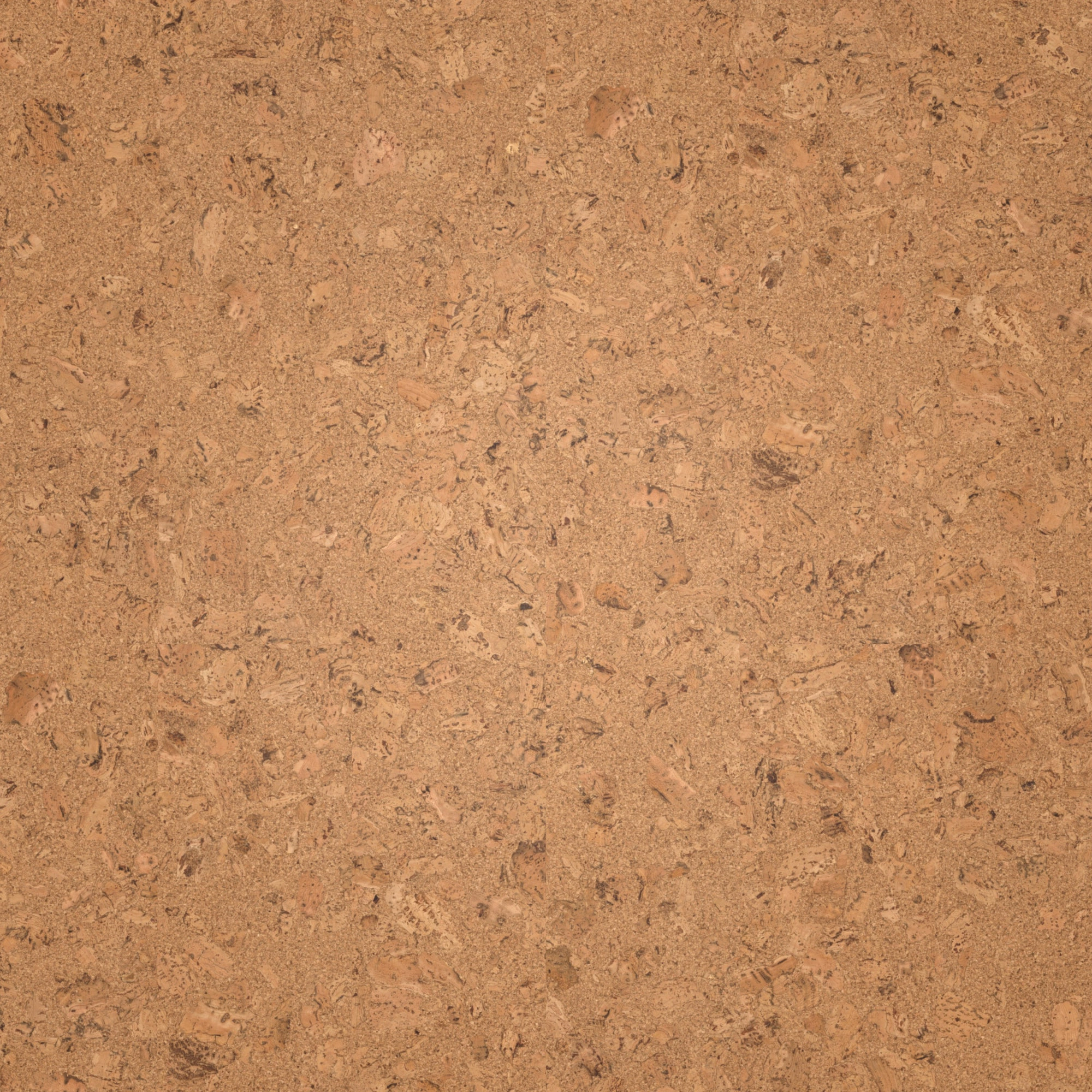 Draufsicht - Wicanders Wise HDF Klick-Korkboden cork Essence Originals Shell Draufsicht - Wicanders Wise 80002239