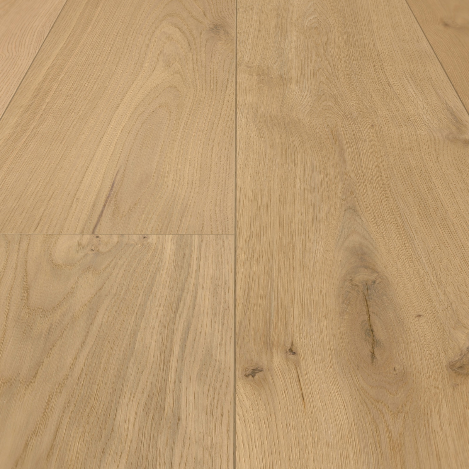 Detail Ansicht - MEISTER 500214-2200270-08921