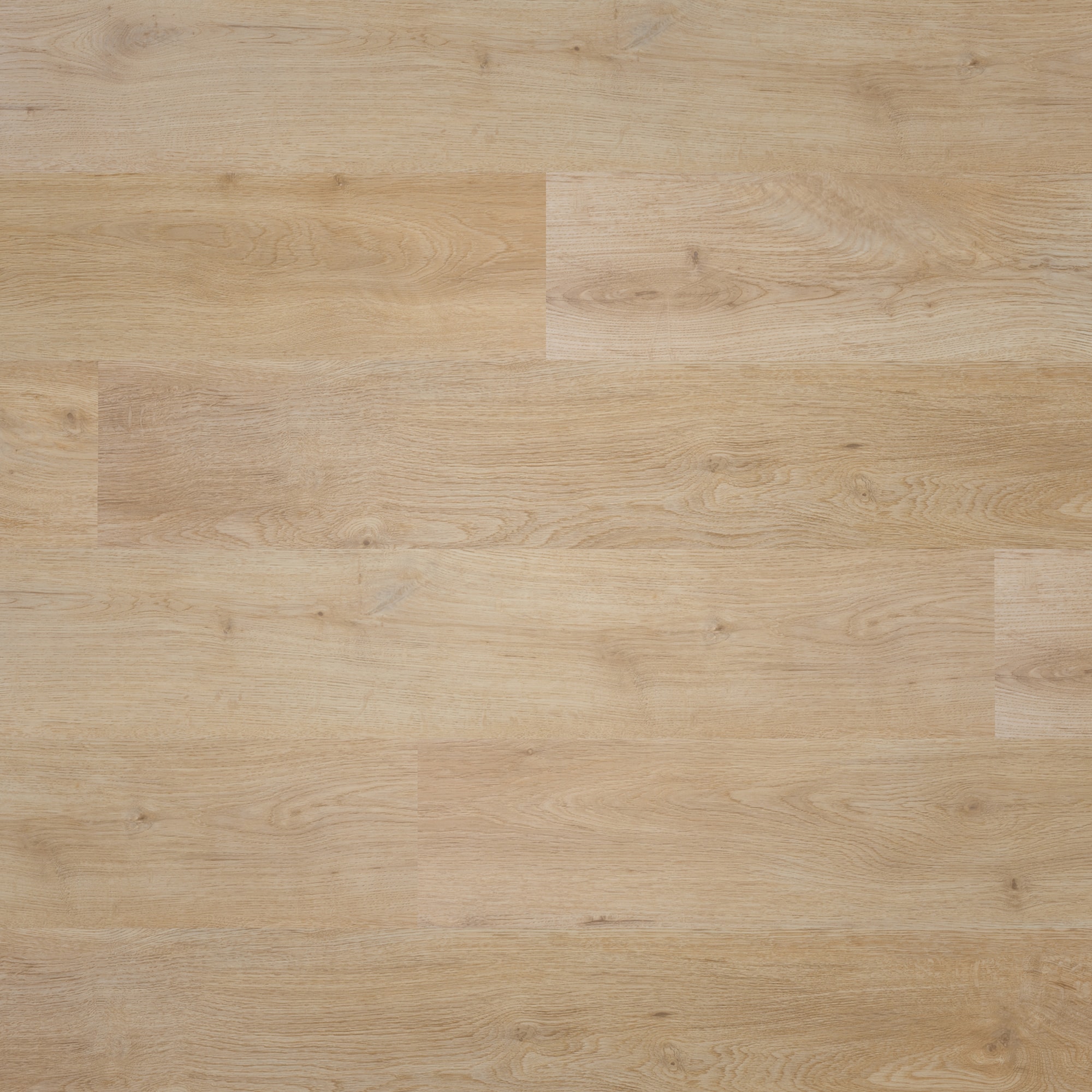 Draufsicht - BerryAlloc Klebe-Vinyl Zenn Gluedown 30 Faro Draufsicht - BerryAlloc 60002224