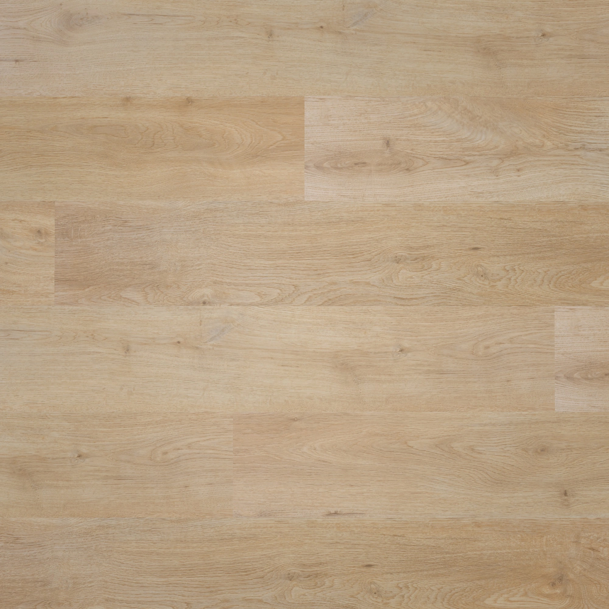Draufsicht - BerryAlloc Klebe-Vinyl Zenn Gluedown 30 Faro Draufsicht - BerryAlloc 60002224
