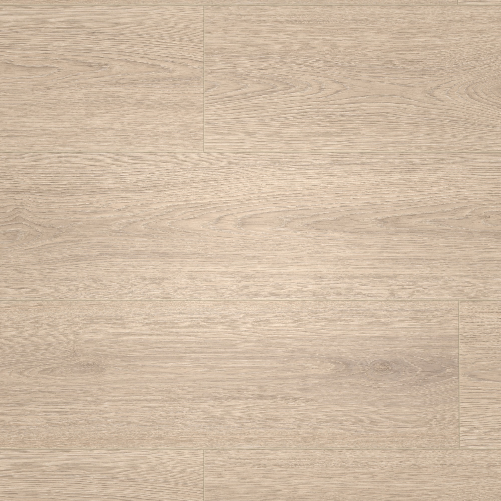 Draufsicht - MEISTER Klebe-Designboden DD 250 Harmony Oak Draufsicht - MEISTER 400053-1290253-07453