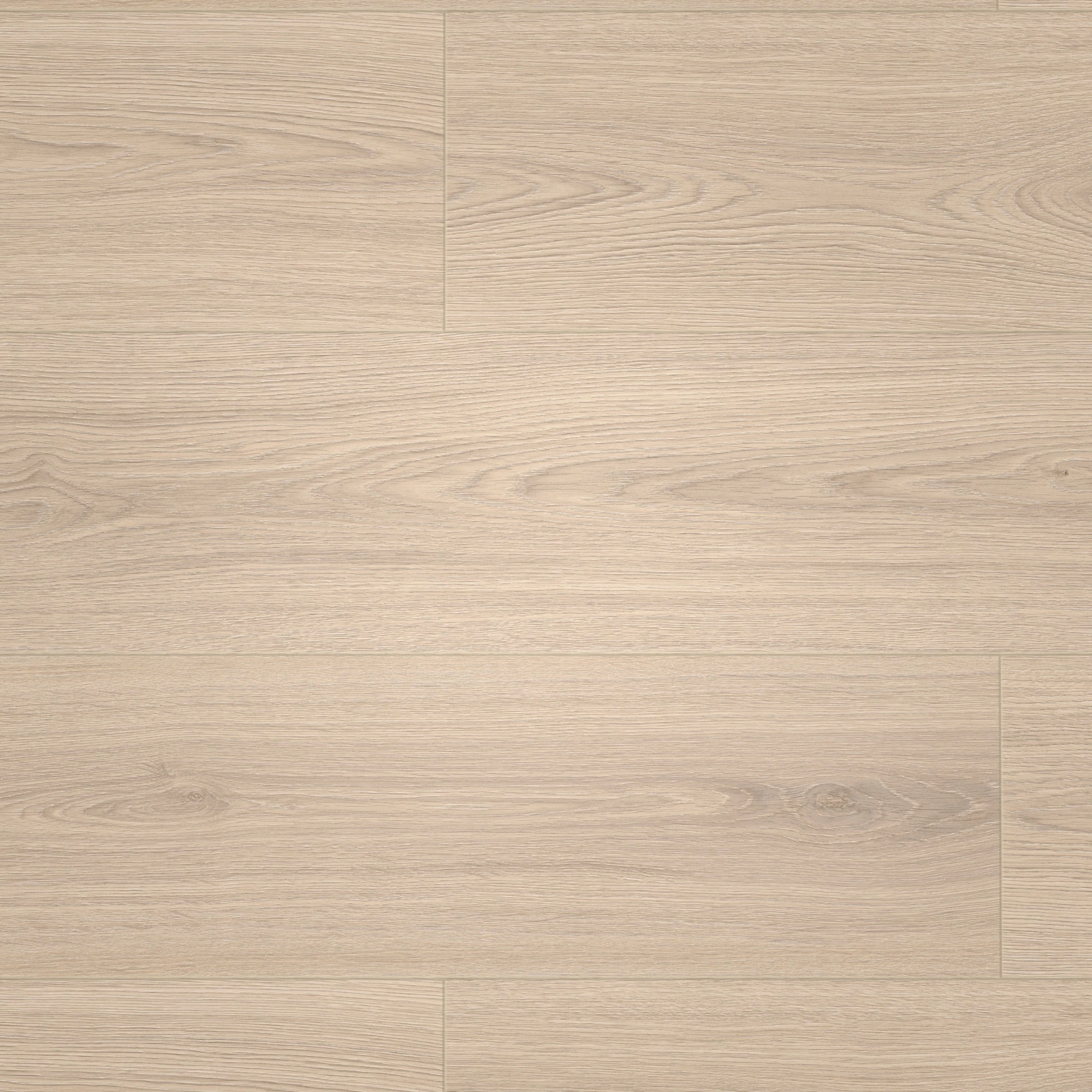 Draufsicht - MEISTER Klebe-Designboden DD 250 Harmony Oak Draufsicht - MEISTER 400053-1290253-07453