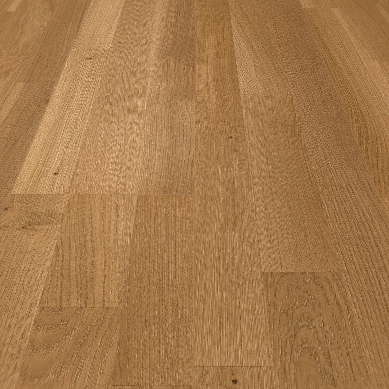 Detail Ansicht - MEISTER 500009-2400200-09039
