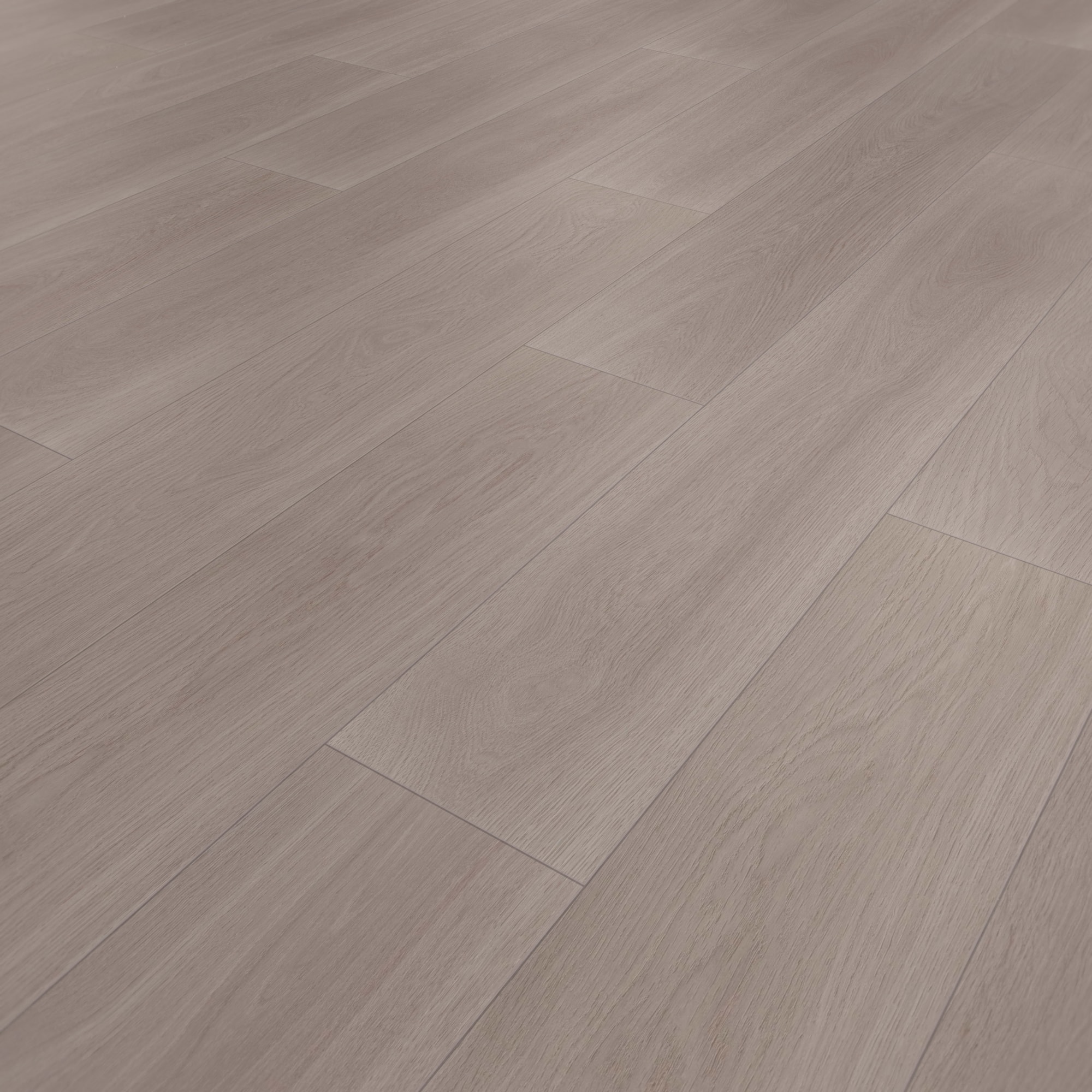 Perspektivische Ansicht - wineo HDF Klick-Bioboden PURLINE wineo 1000 wood XL Calm Oak Ash Perspektivische Ansicht - wineo MLP308R