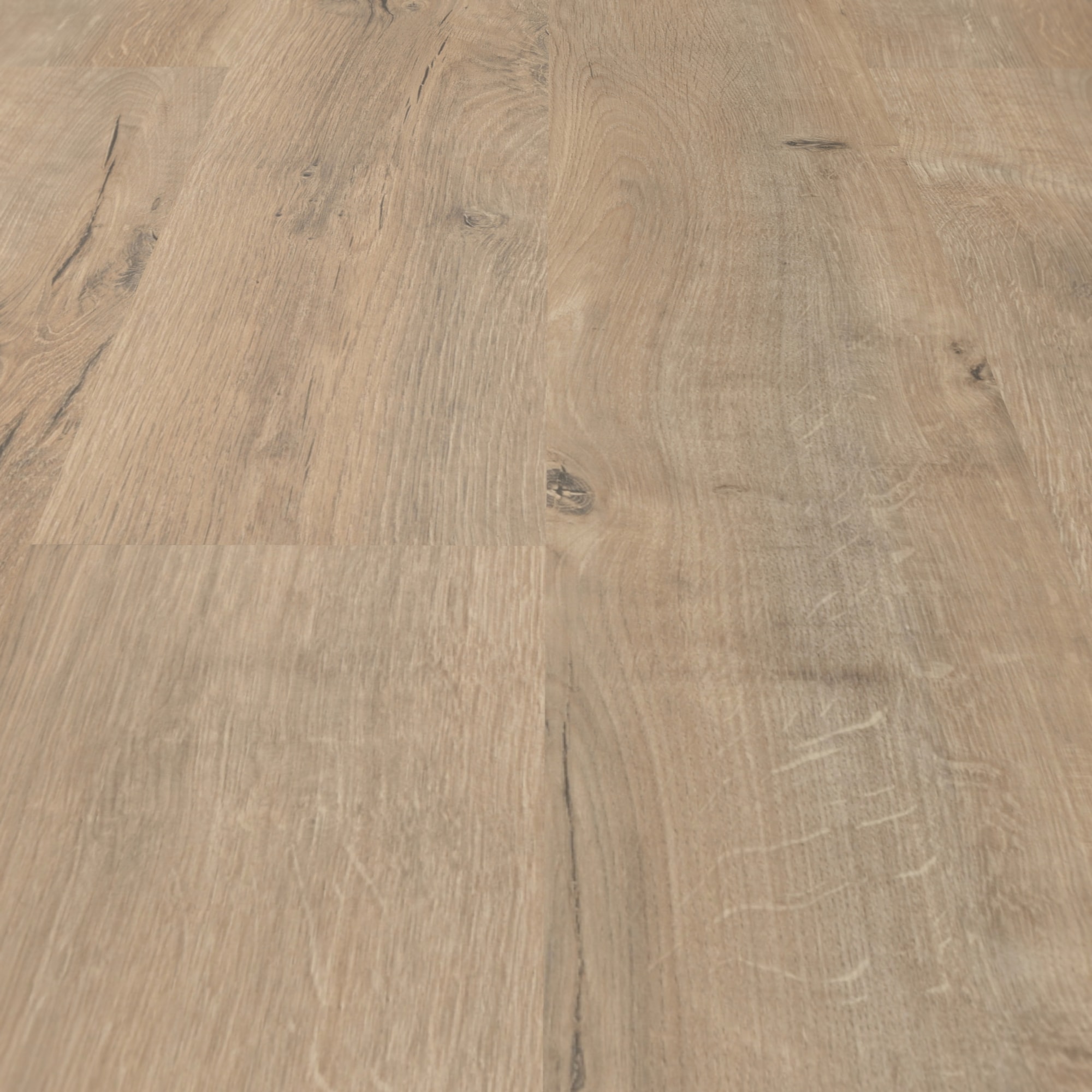 Detail Ansicht - MEISTER 600012-1288198-06439