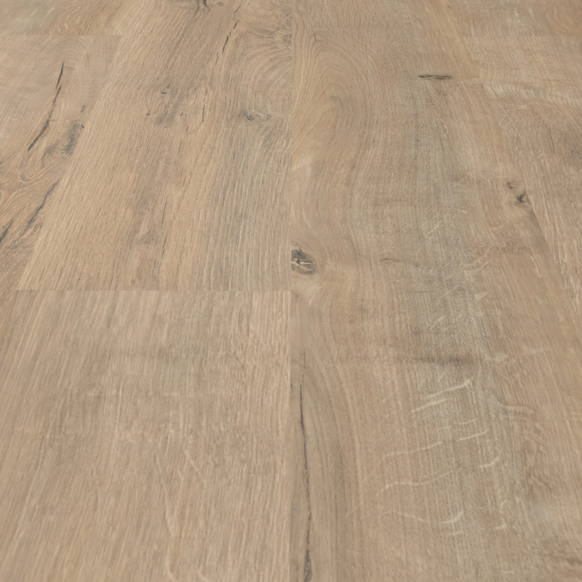 Detail Ansicht - MEISTER Laminat LC 55 Risseiche Terra Detail Ansicht - MEISTER 600012-1288198-06439