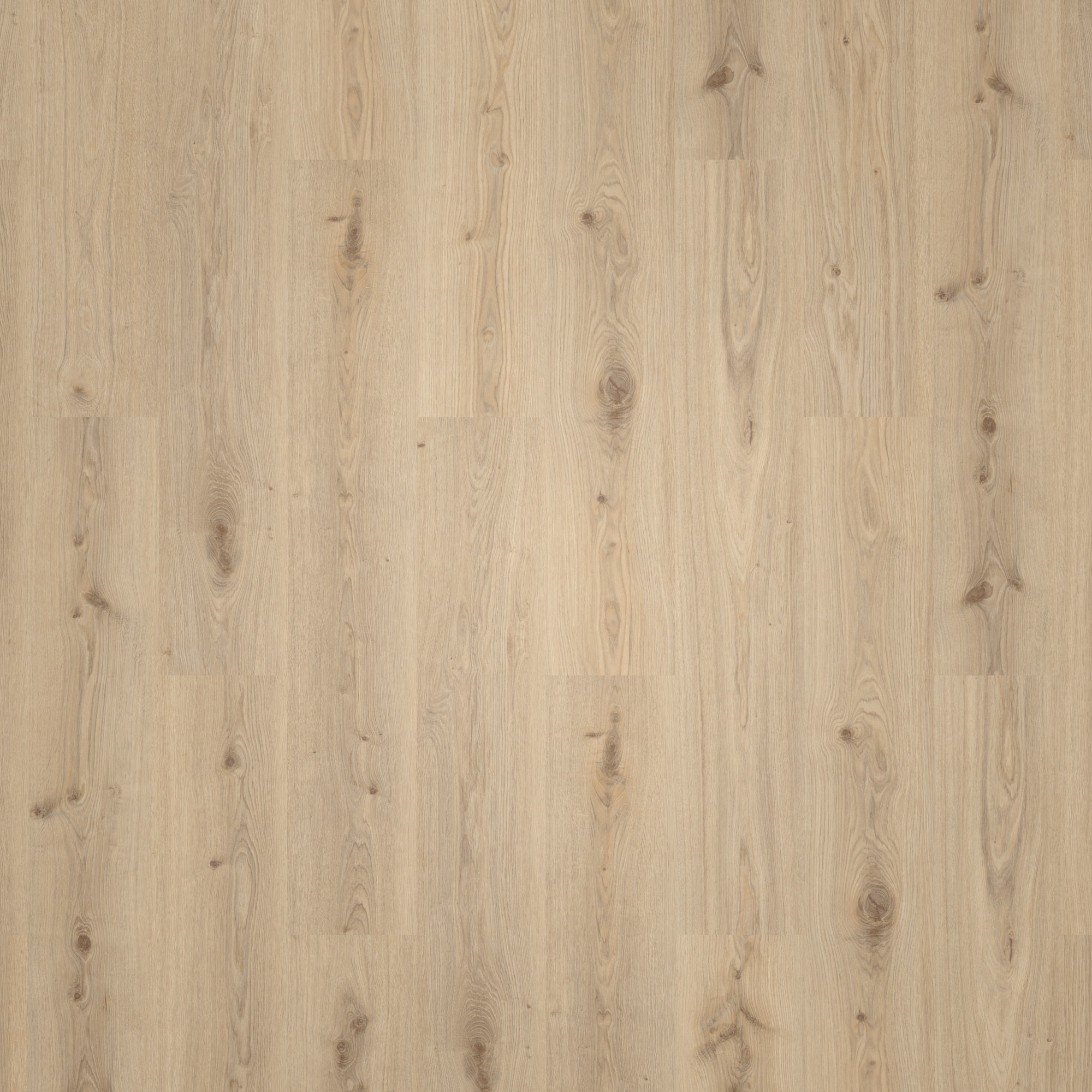 Draufsicht - Tarkett Klebe-Vinyl Essence 55 Primary Oak Natural Draufsicht - Tarkett 260053004