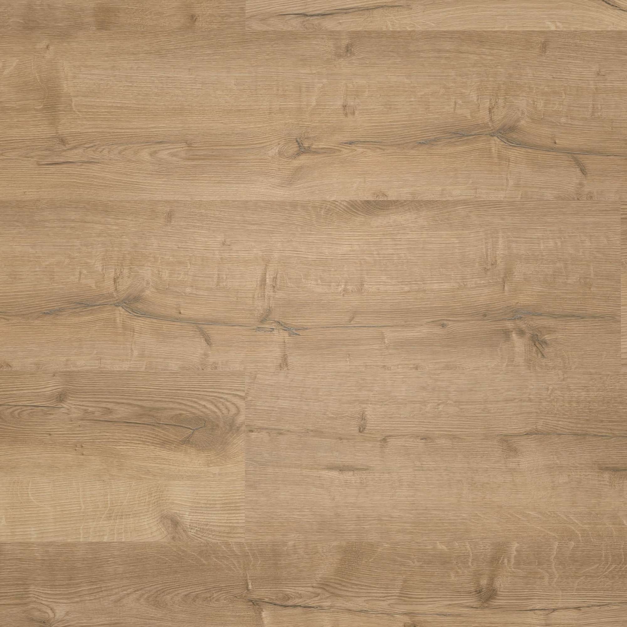 Draufsicht - wineo Rigid Klick-Vinyl wineo 400 wood XL Comfort Oak Nature Draufsicht - wineo RLC291WXL