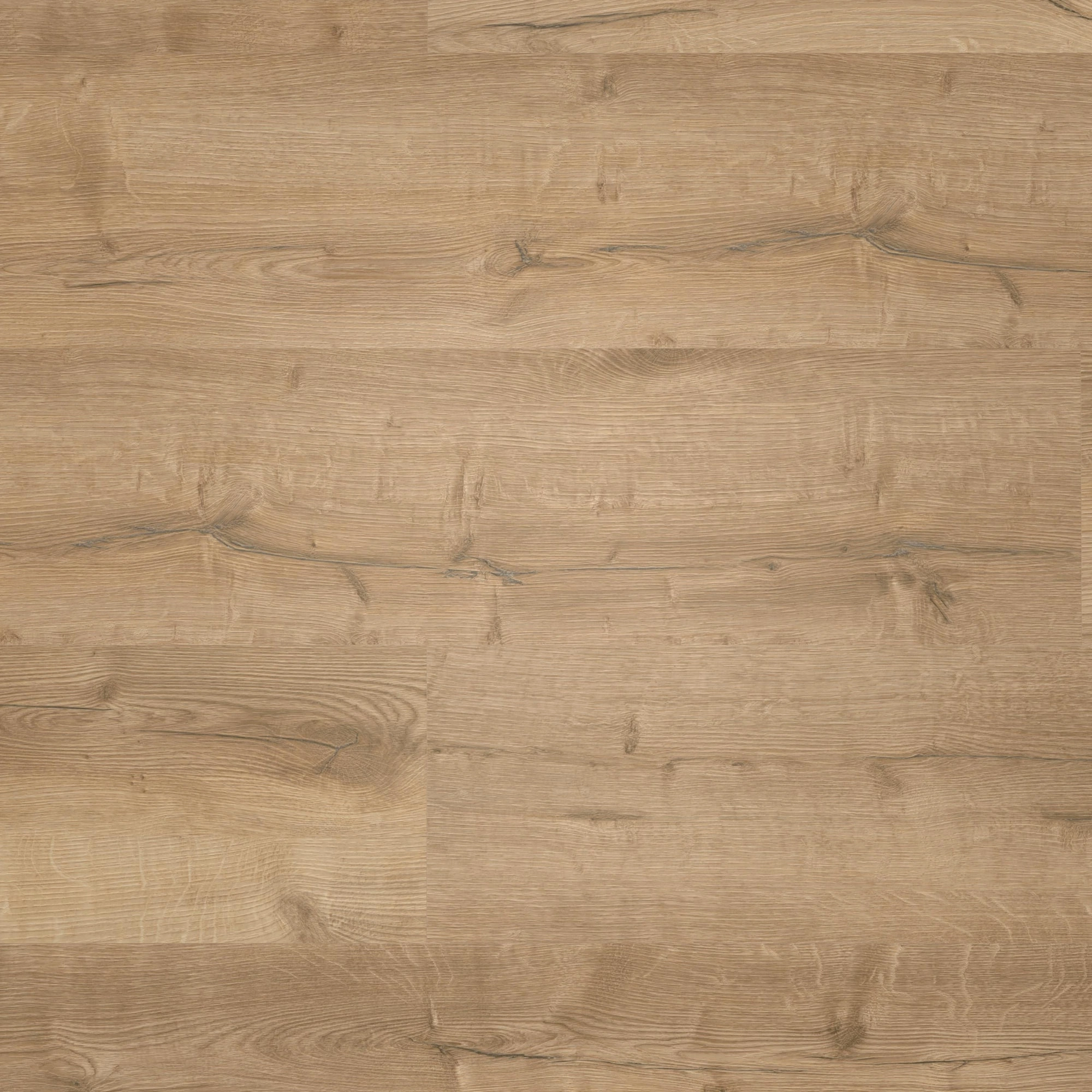 Draufsicht - wineo Rigid Klick-Vinyl wineo 400 wood XL Comfort Oak Nature Draufsicht - wineo RLC291WXL
