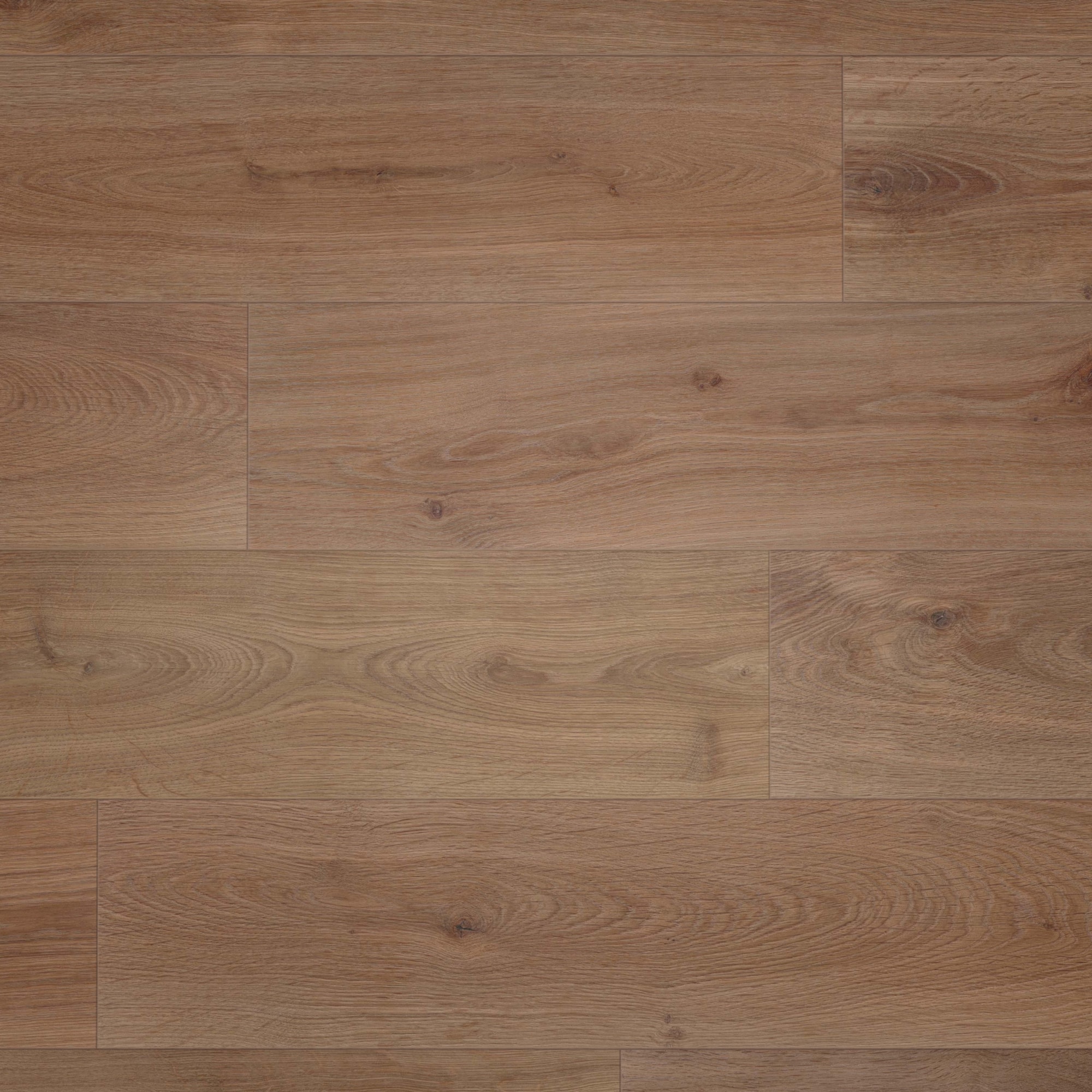 Draufsicht - wineo Klebe-Bioboden PURLINE wineo 1000 wood XL Noble Oak Chocolate Draufsicht - wineo PL312R
