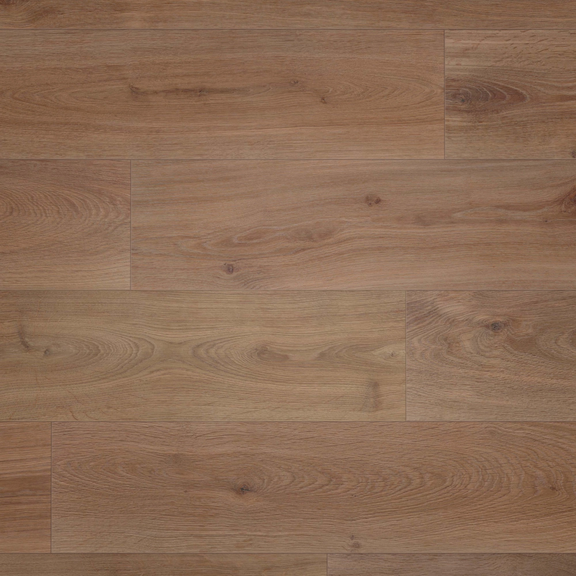 Draufsicht - wineo Klebe-Bioboden PURLINE wineo 1000 wood XL Noble Oak Chocolate Draufsicht - wineo PL312R