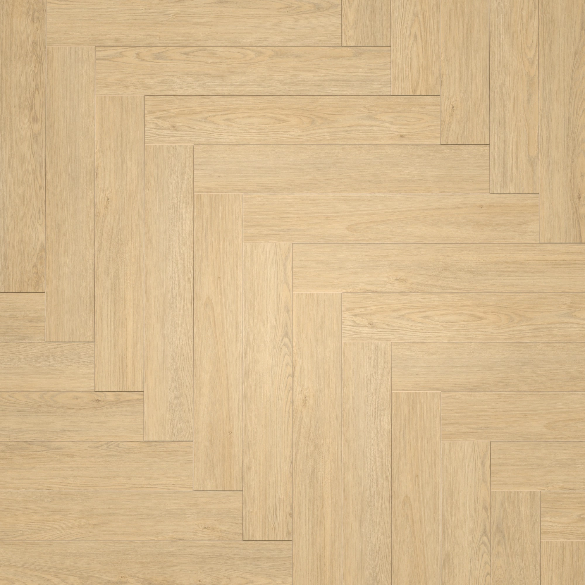 Draufsicht - Parador Laminat Trendtime 3 Eiche Mont Blanc geschliffen Draufsicht - Parador 1748753