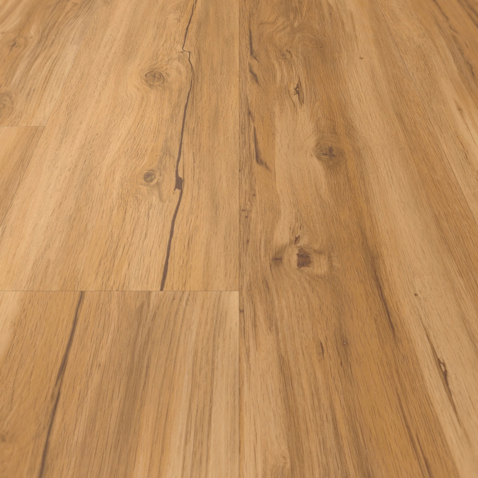 Detail Ansicht - Parador HDF Klick-Vinyl Basic 30 Eiche Memory natur Detail Ansicht - Parador 1649300
