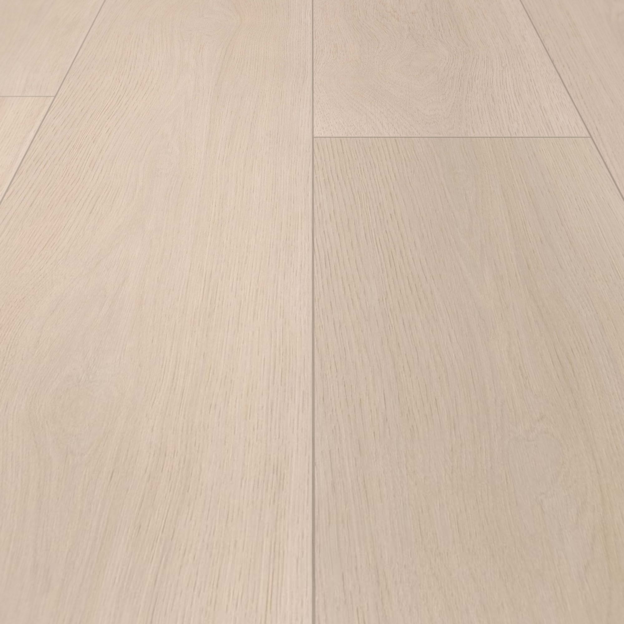 Detail Ansicht - wineo Klick-Bioboden PURLINE wineo 1000 wood XL Calm Oak Bright Detail Ansicht - wineo PLC305R