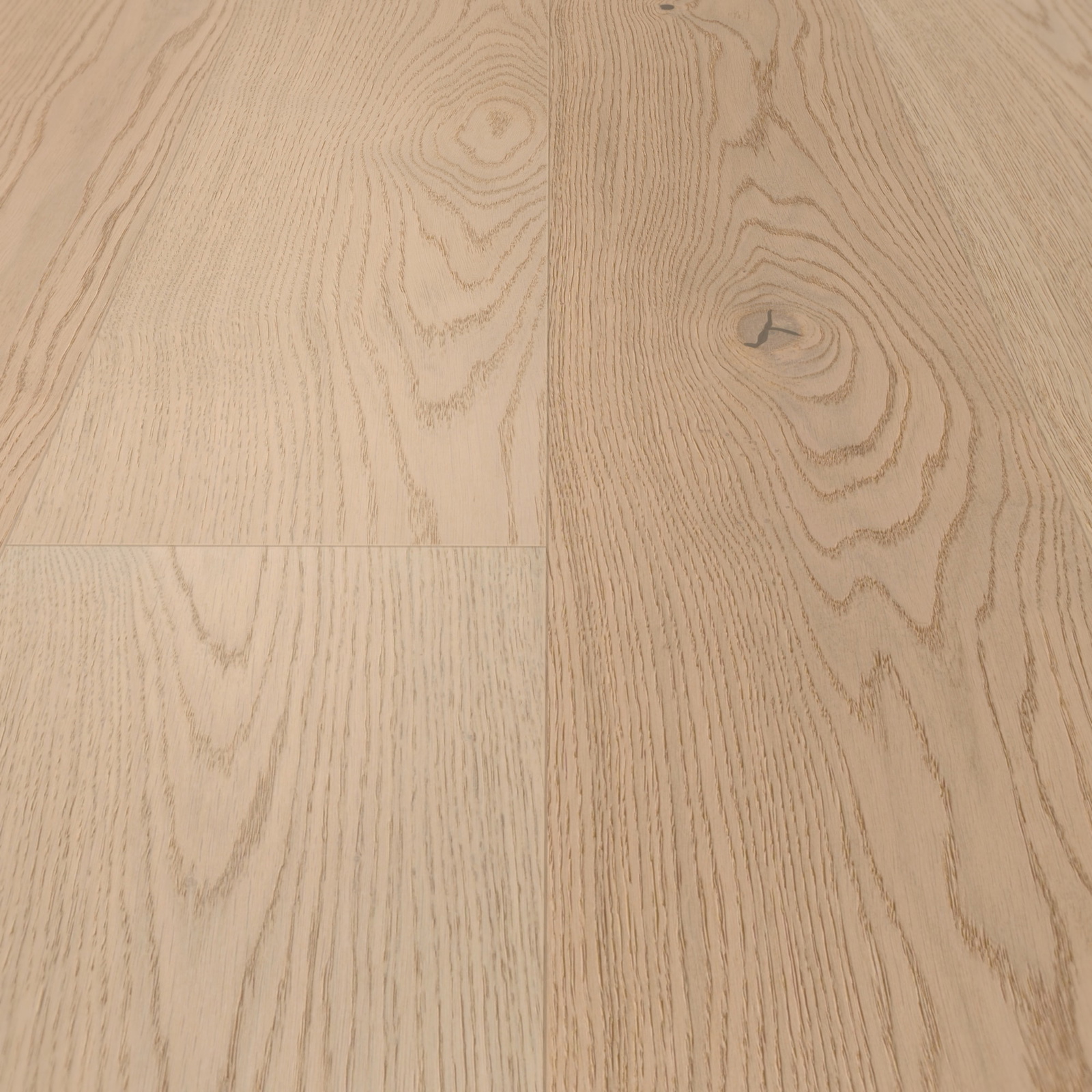 Detail Ansicht - MEISTER 500139-2200210-20014