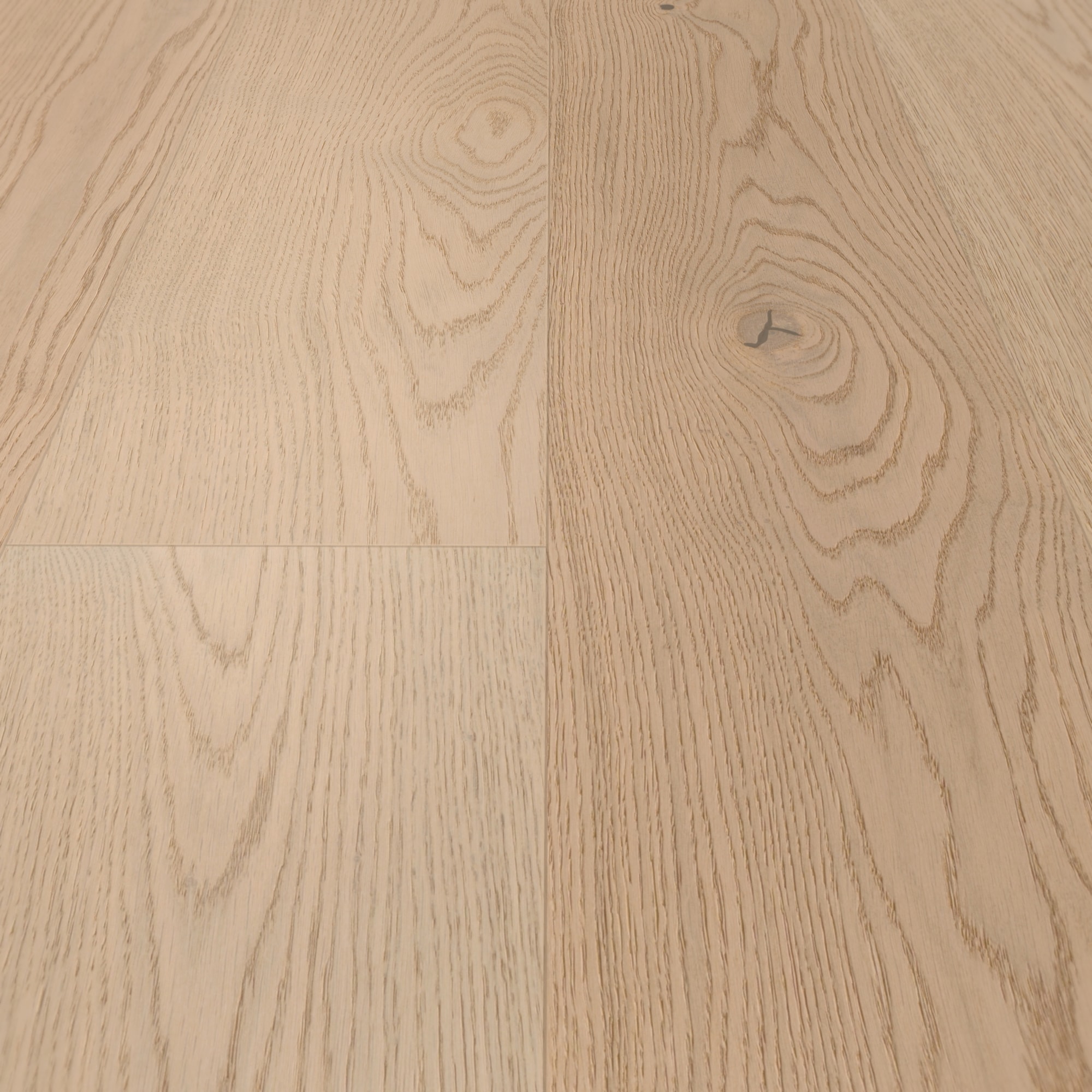 Detail Ansicht - MEISTER 500139-2200210-20014