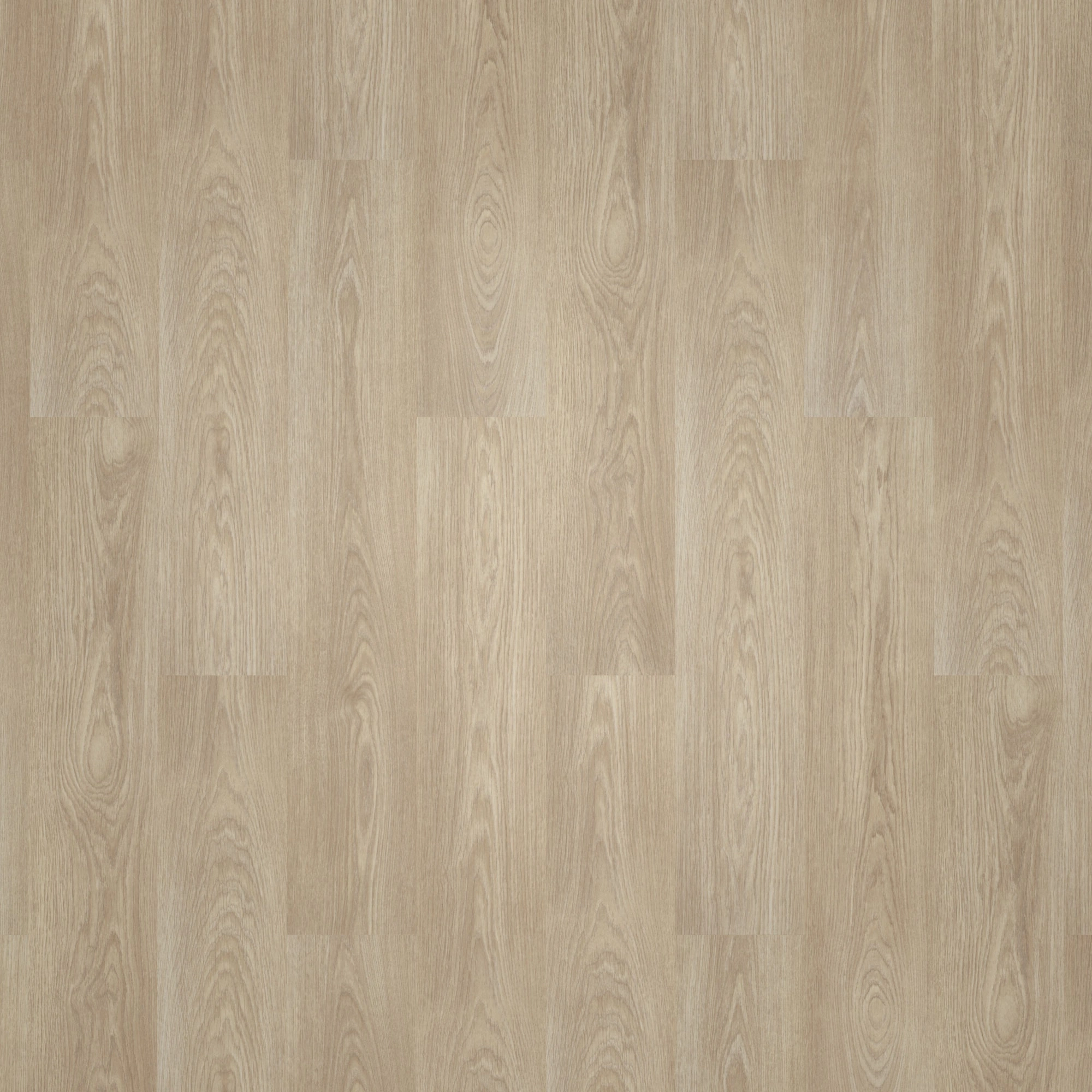 Draufsicht - Forbo Flooring Klebe-Vinyl Allura Dryback 0.55 Wood Light Timber Draufsicht - Forbo Flooring 243620