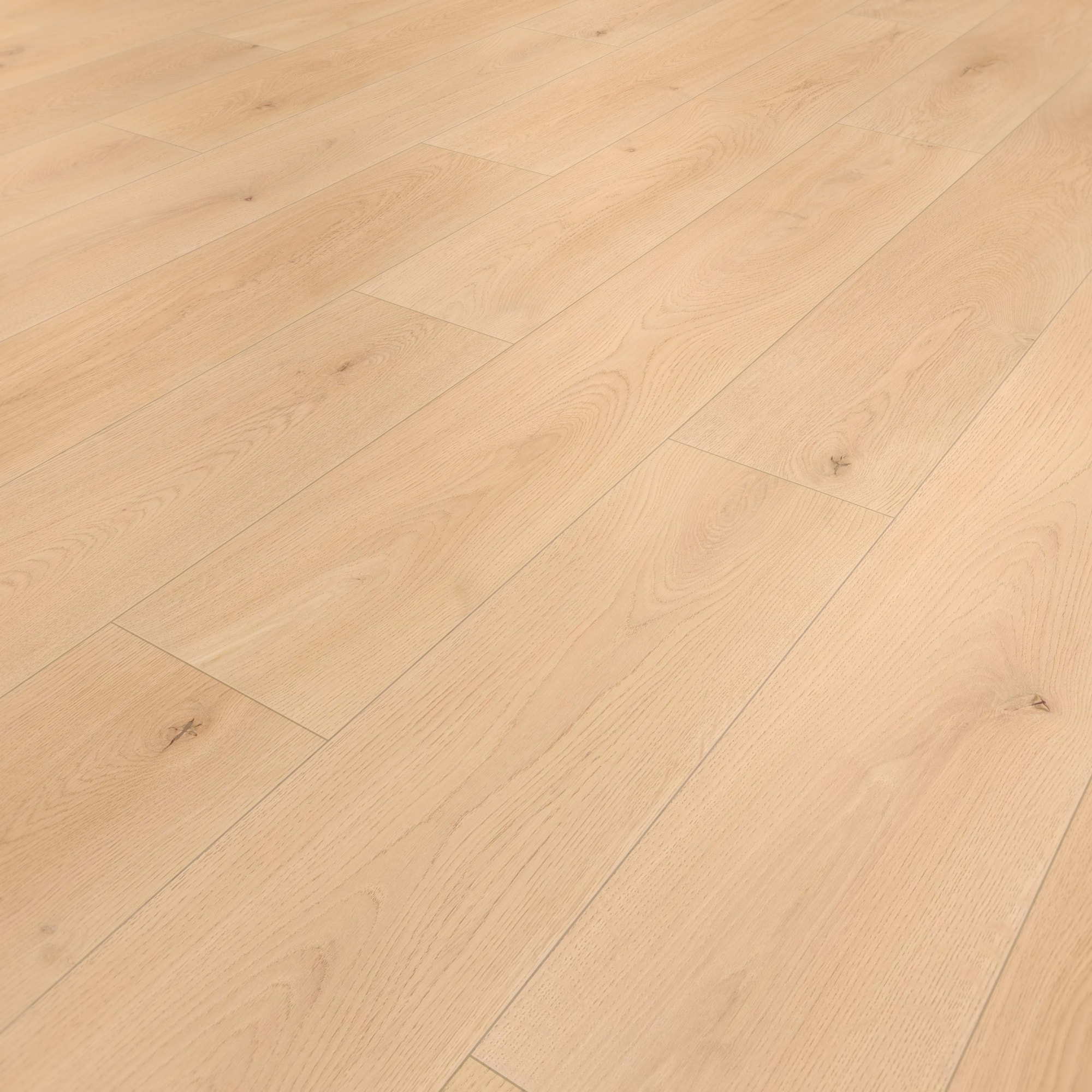 Perspektivische Ansicht - wineo Klebe-Bioboden PURLINE wineo 1000 wood XL Noble Oak Vanilla Perspektivische Ansicht - wineo PL310R