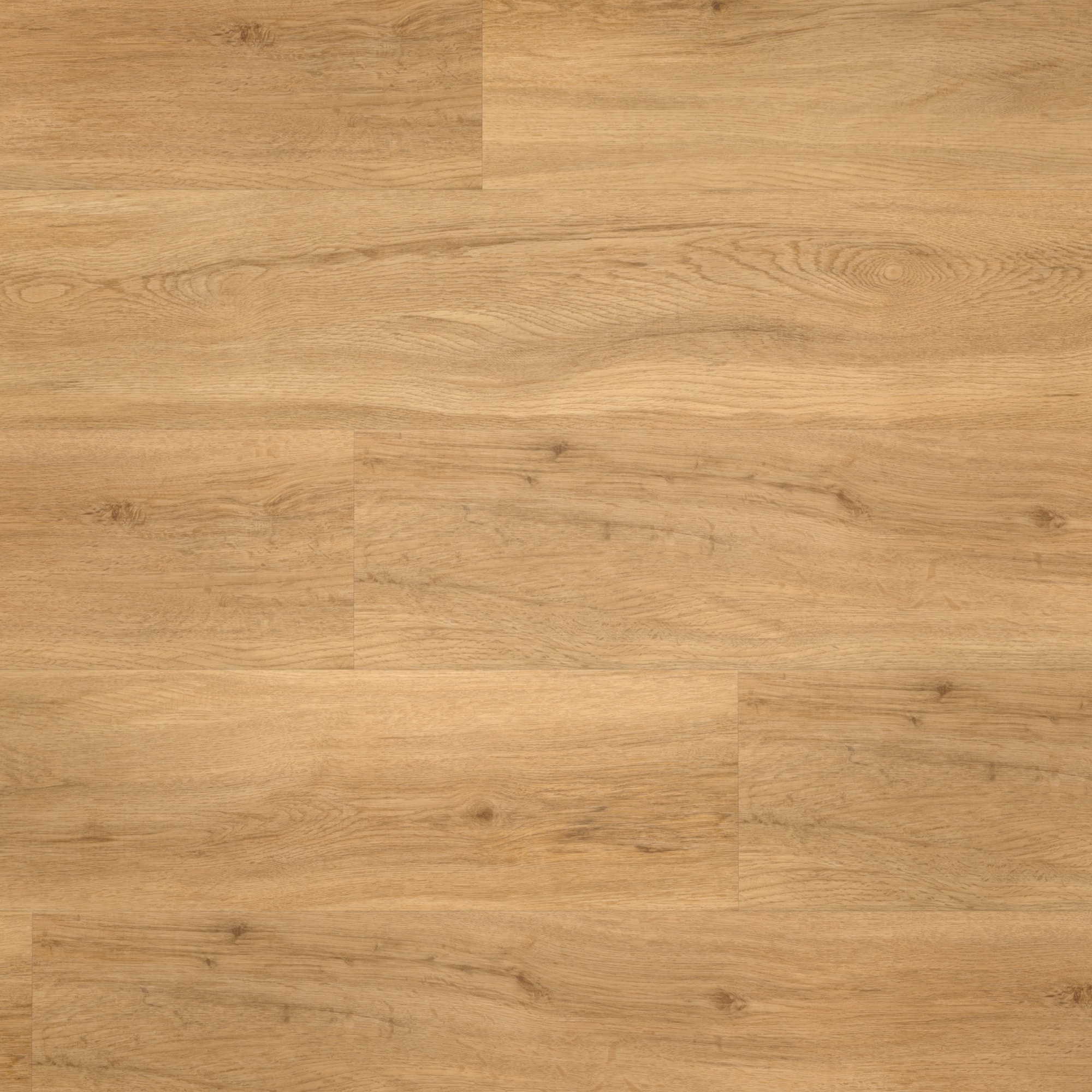 Draufsicht - Parador Klebe-Vinyl Basic 2.0 Eiche Sierra natur Draufsicht - Parador 1730791