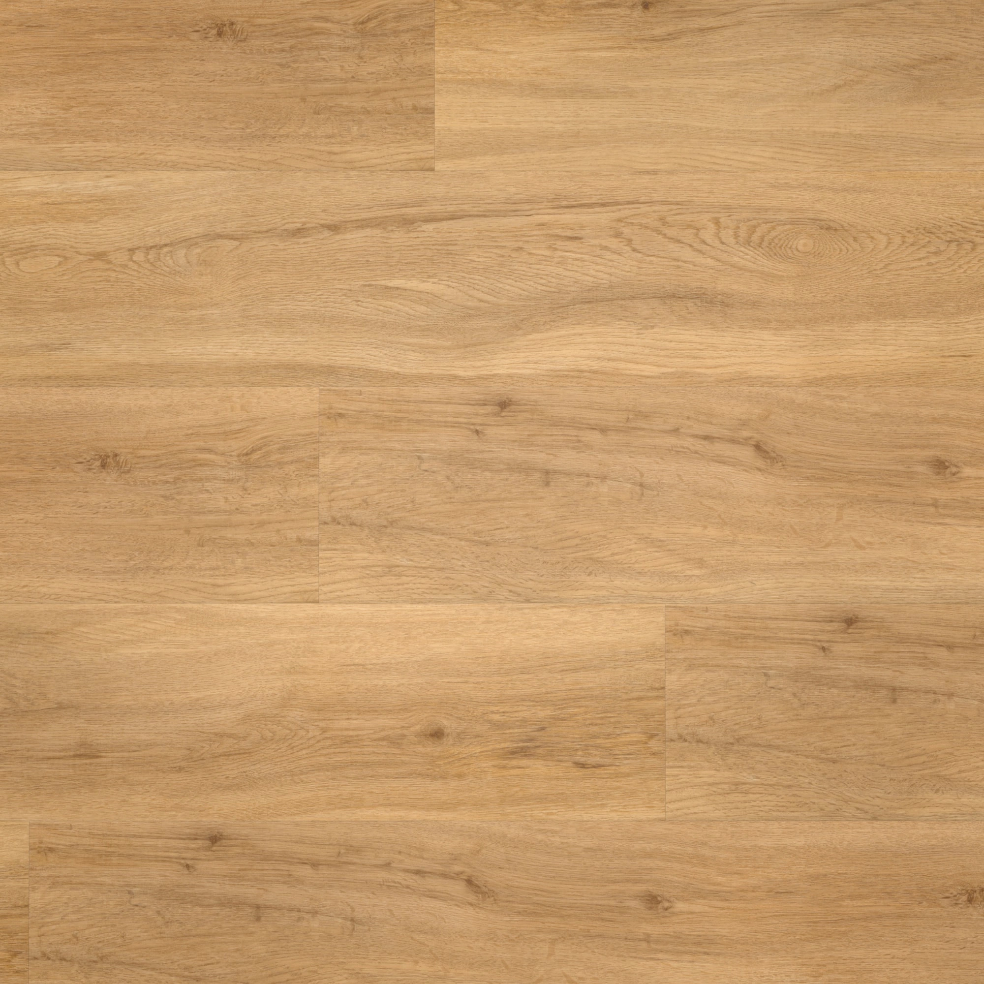 Draufsicht - Parador Klebe-Vinyl Basic 2.0 Eiche Sierra natur Draufsicht - Parador 1730791