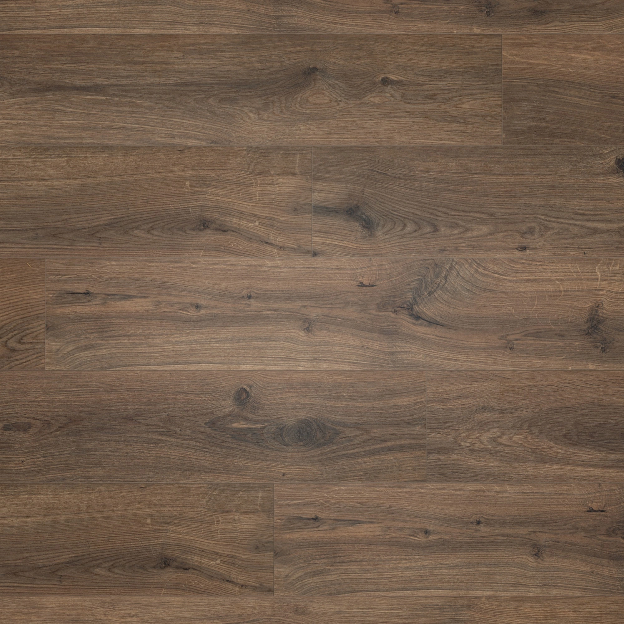 BerryAlloc Laminat Ocean 8 V4 Gyant Dark Brown Real Wood Structure BerryAlloc Laminat Ocean 8 V4 Gyant Dark Brown Real Wood Structure