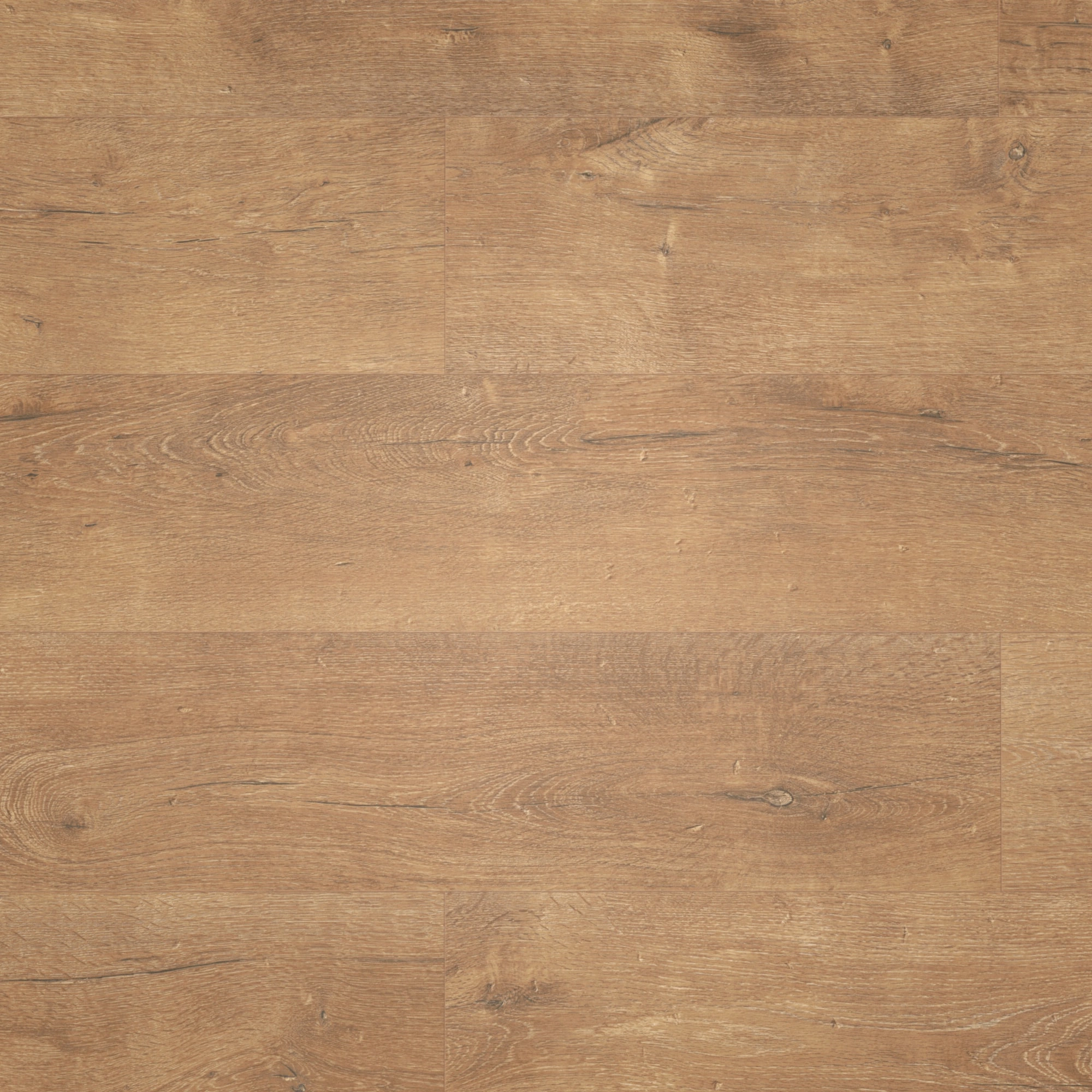 Draufsicht - MEISTER Laminat LD 55 Stieleiche natur Draufsicht - MEISTER 600015-1288198-06952
