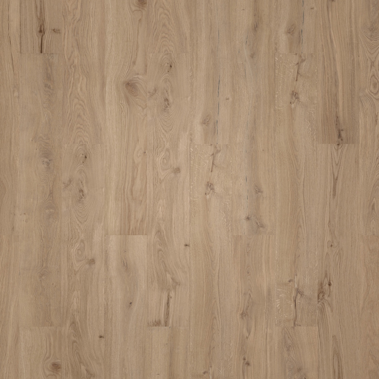 Wicanders HDF Klick-Designboden wood Go Dakota Oak Holzstruktur