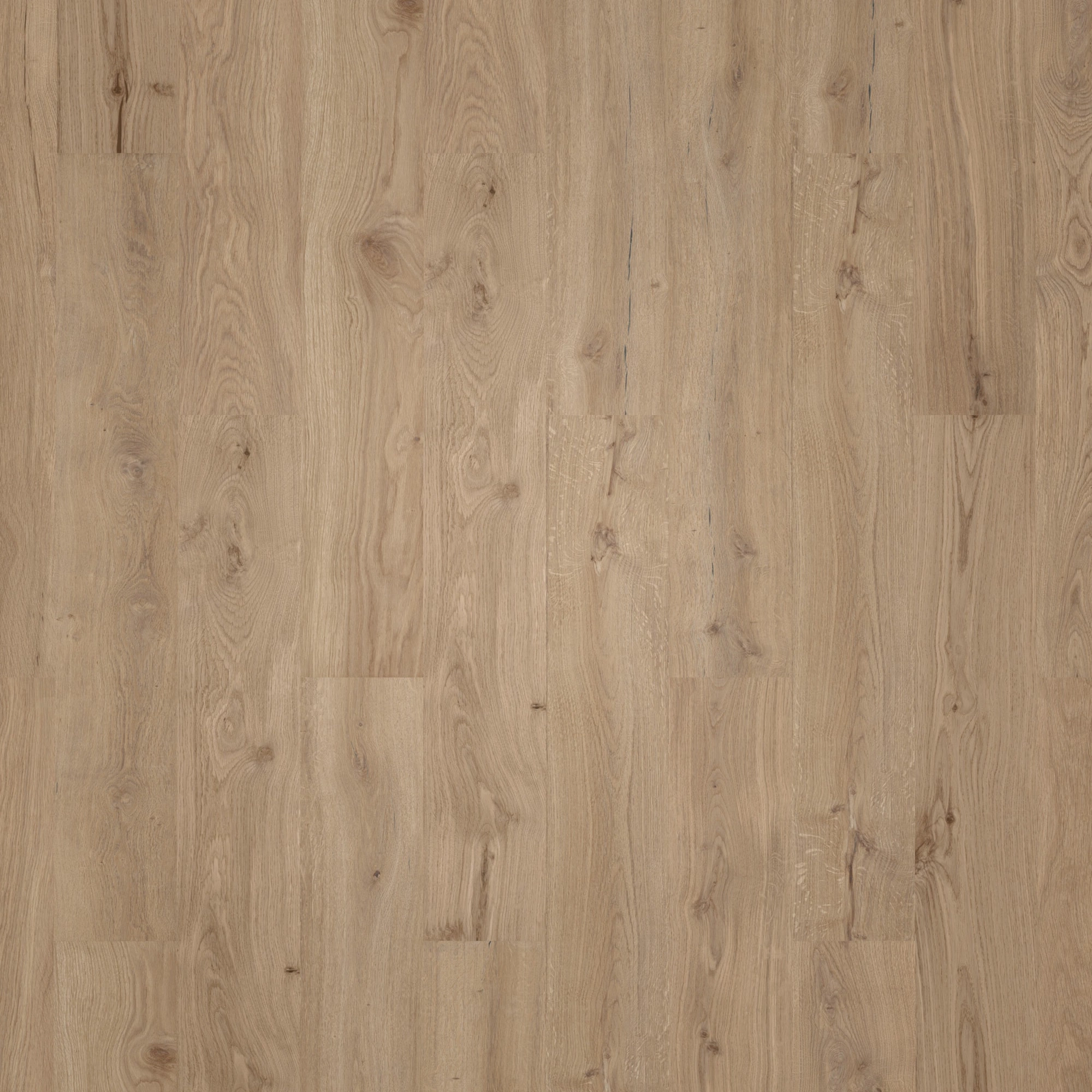 Wicanders HDF Klick-Designboden wood Go Dakota Oak Holzstruktur Wicanders HDF Klick-Designboden wood Go Dakota Oak Holzstruktur