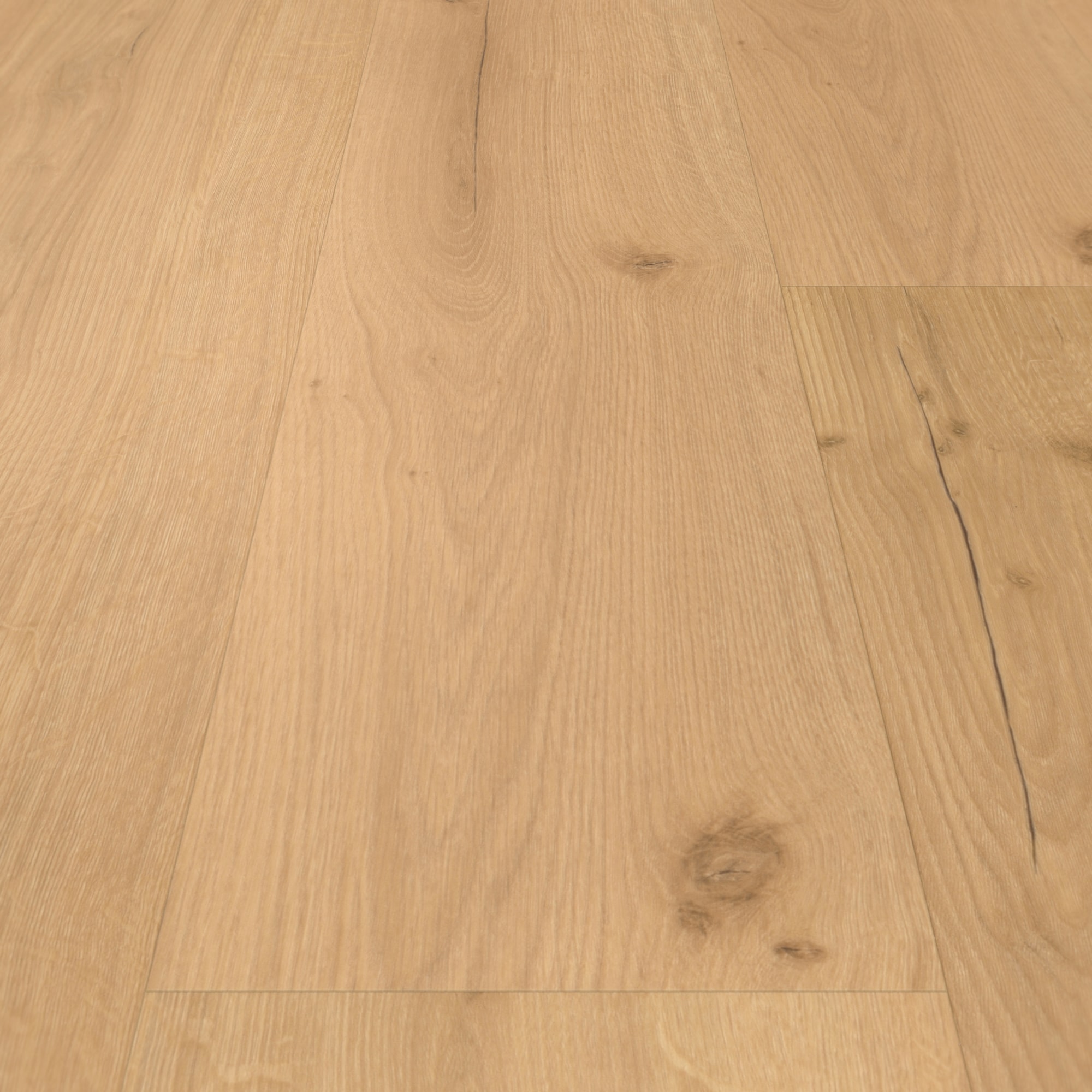 Detail Ansicht - Parador Klebe-Vinyl Basic 2.0 Eiche Infinity natur Detail Ansicht - Parador 1730799