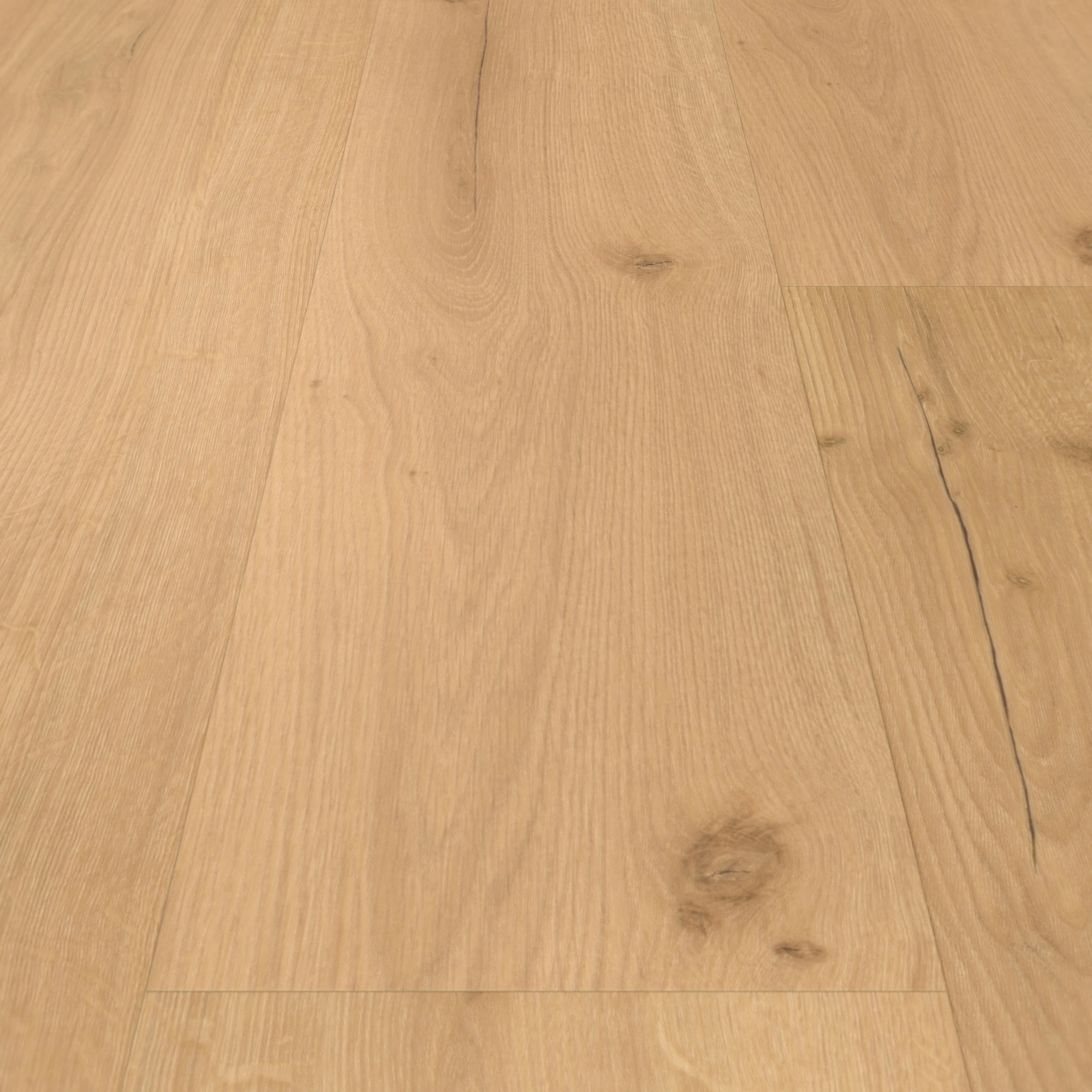 Detail Ansicht - Parador Klebe-Vinyl Basic 2.0 Eiche Infinity natur Detail Ansicht - Parador 1730799