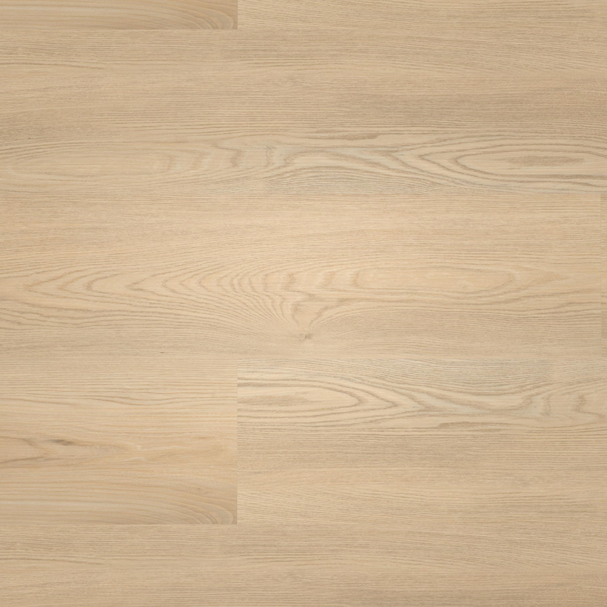 Draufsicht - wineo HDF Klick-Vinyl wineo 400 wood XL Calm Ash Beige Draufsicht - wineo MLD290WXL