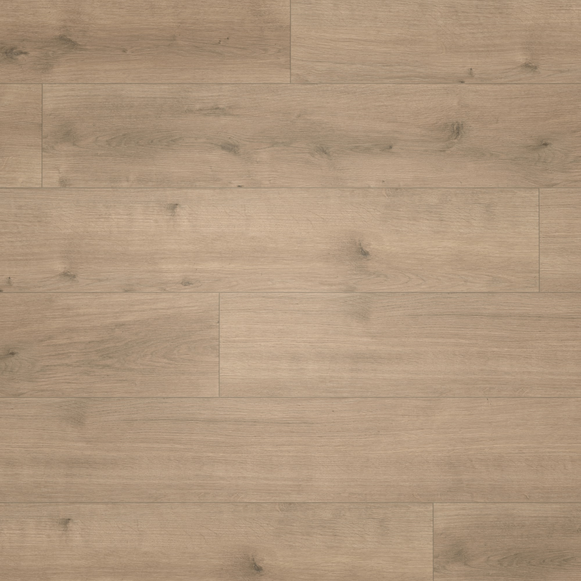 Draufsicht - Parador HDF Klick-Designboden Modular ONE Eiche Pure perlgrau Draufsicht - Parador 1730768