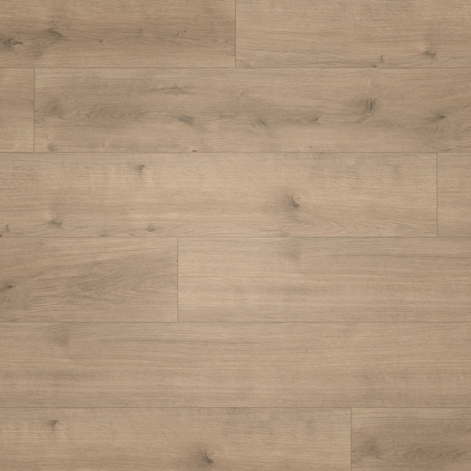 Draufsicht - Parador HDF Klick-Designboden Modular ONE Eiche Pure perlgrau Draufsicht - Parador 1730768