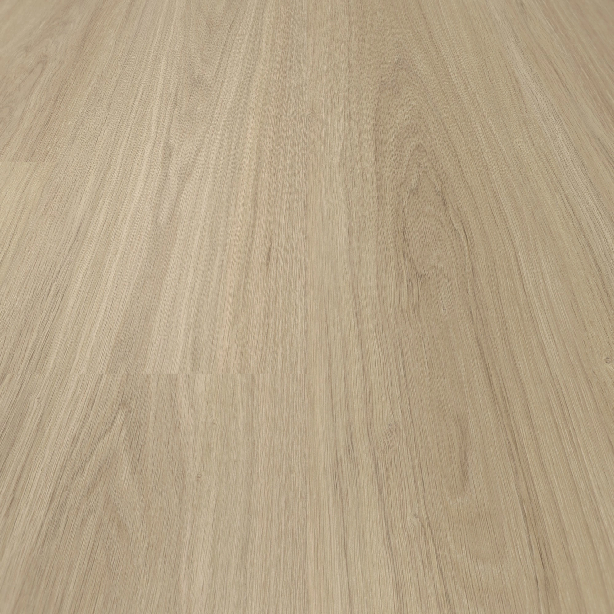 Detail Ansicht - Parador HDF Klick-Vinyl Basic 30 Eiche Oxford geschliffen Detail Ansicht - Parador 1748794