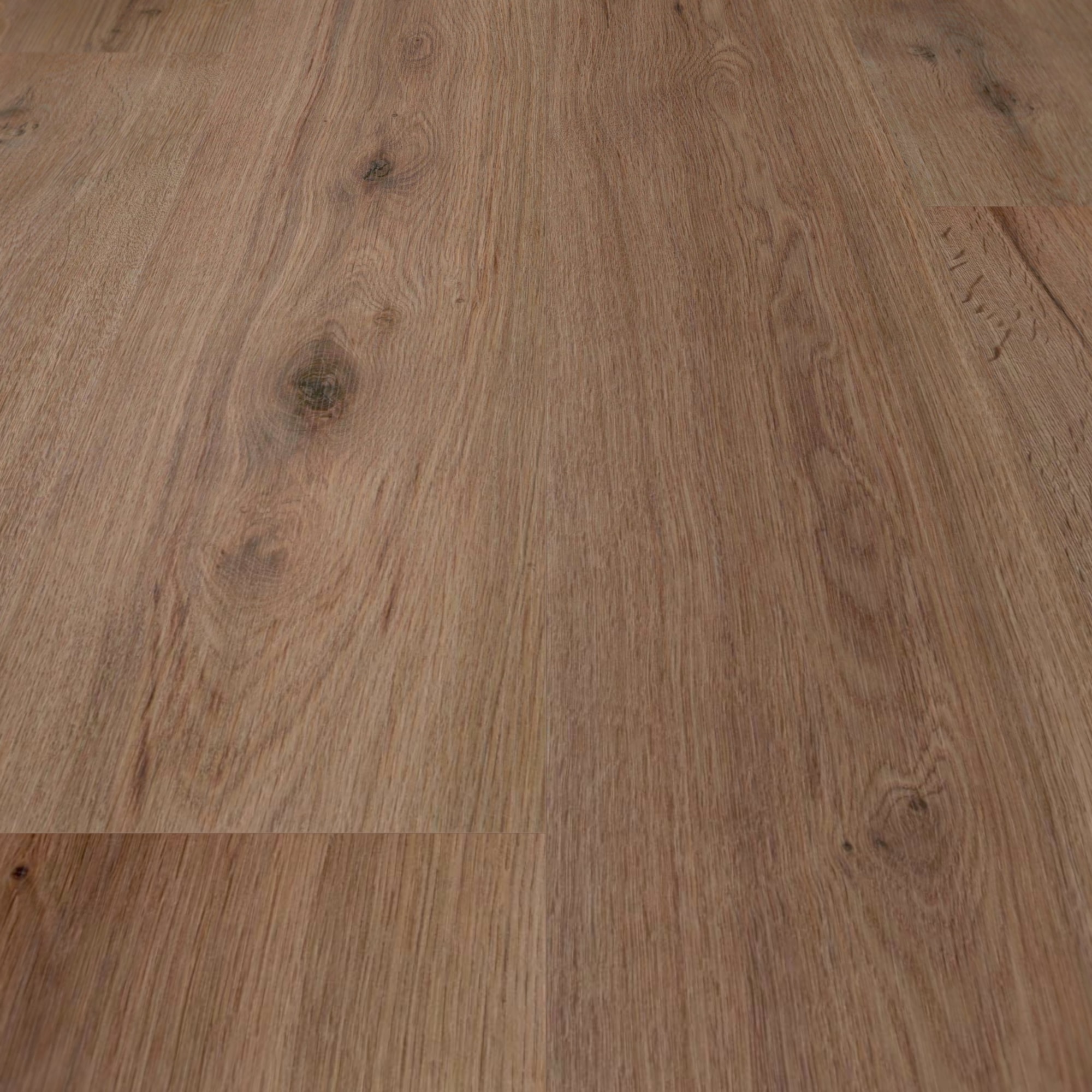 Detail Ansicht - wineo Klebe-Bioboden PURLINE wineo 1000 wood L Strong Oak Cappuccino Detail Ansicht - wineo PL303R