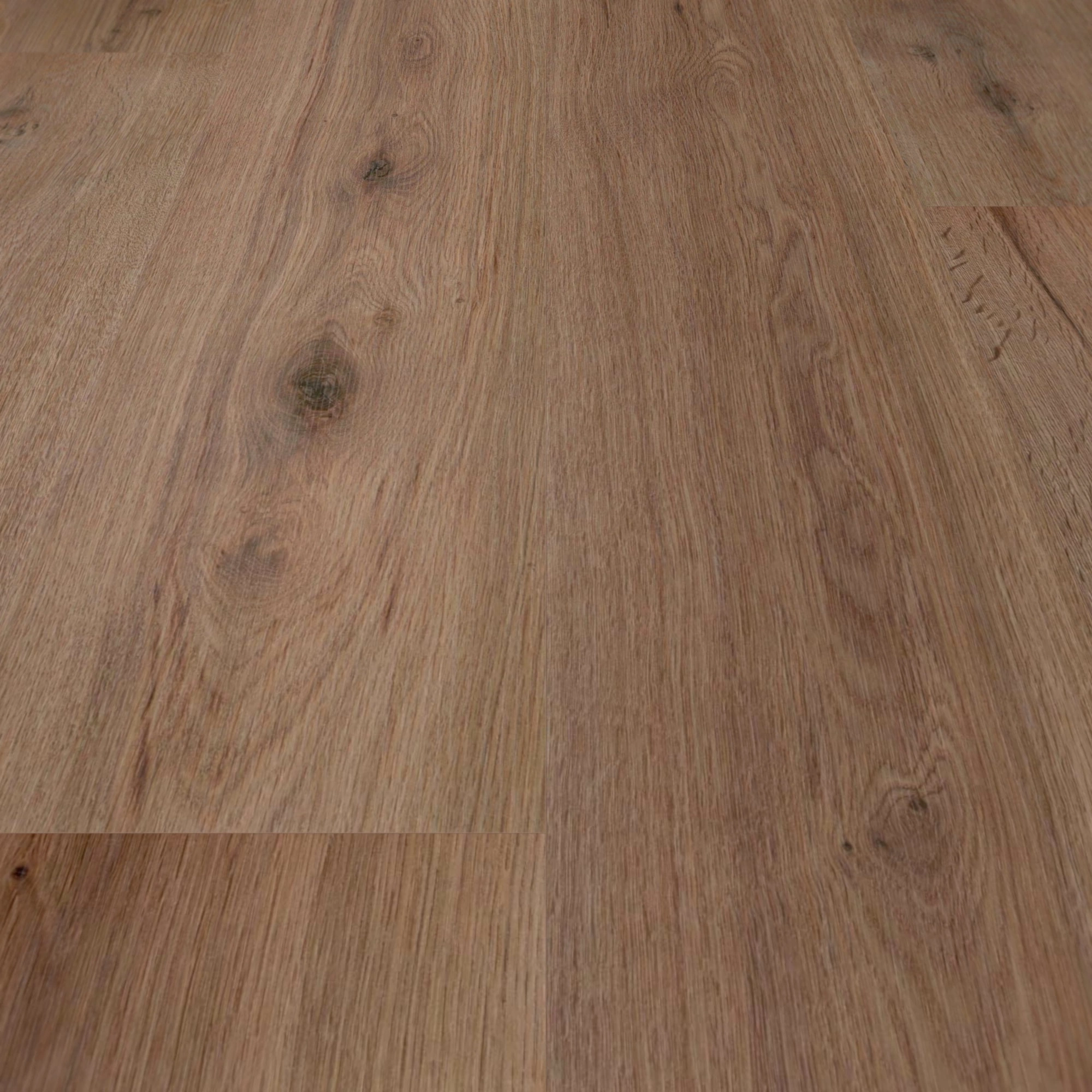 Detail Ansicht - wineo Klebe-Bioboden PURLINE wineo 1000 wood L Strong Oak Cappuccino Detail Ansicht - wineo PL303R