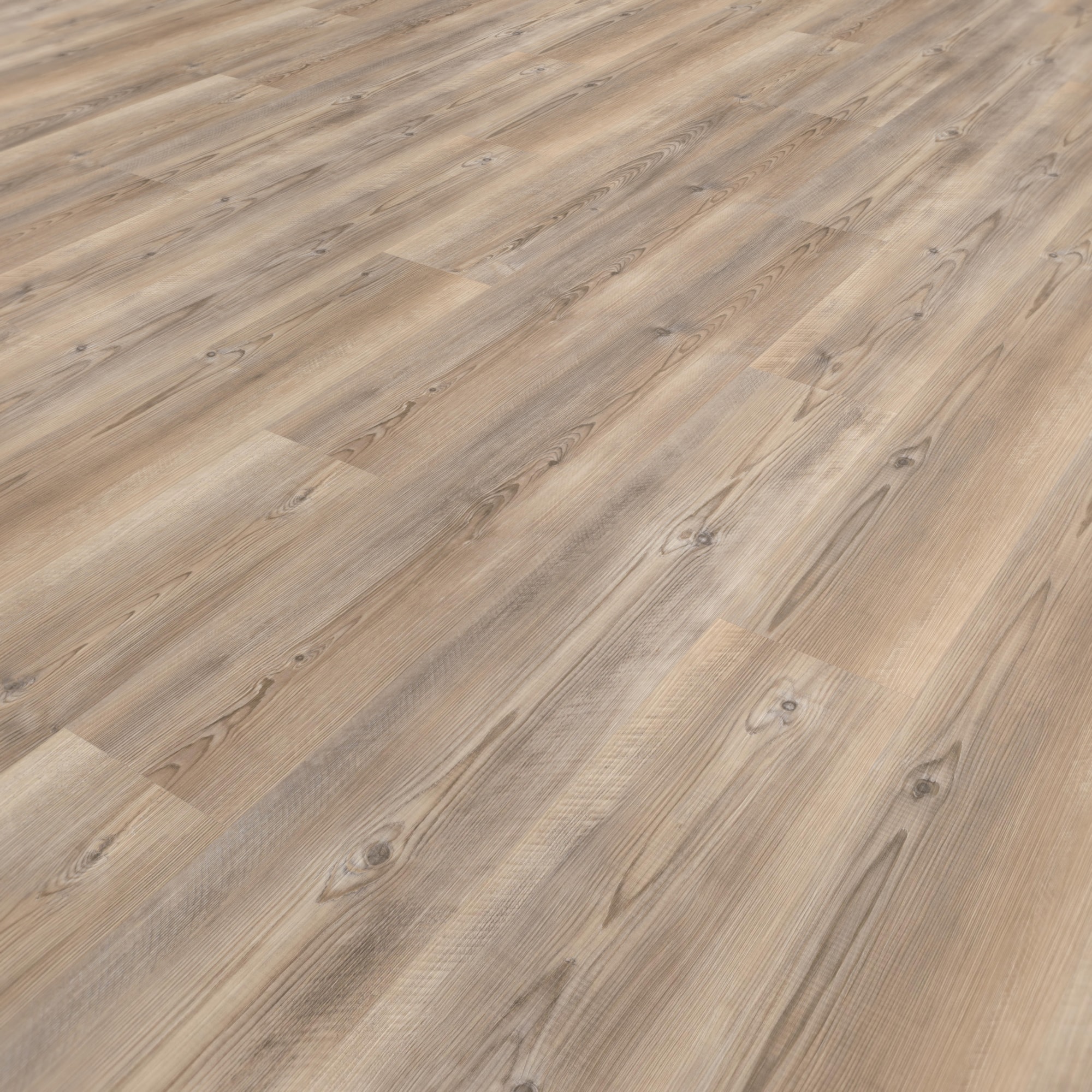 Perspektivische Ansicht - wineo Rigid Klick-Vinyl wineo 400 wood L Coast Pine Taupe Perspektivische Ansicht - wineo RLC284WL