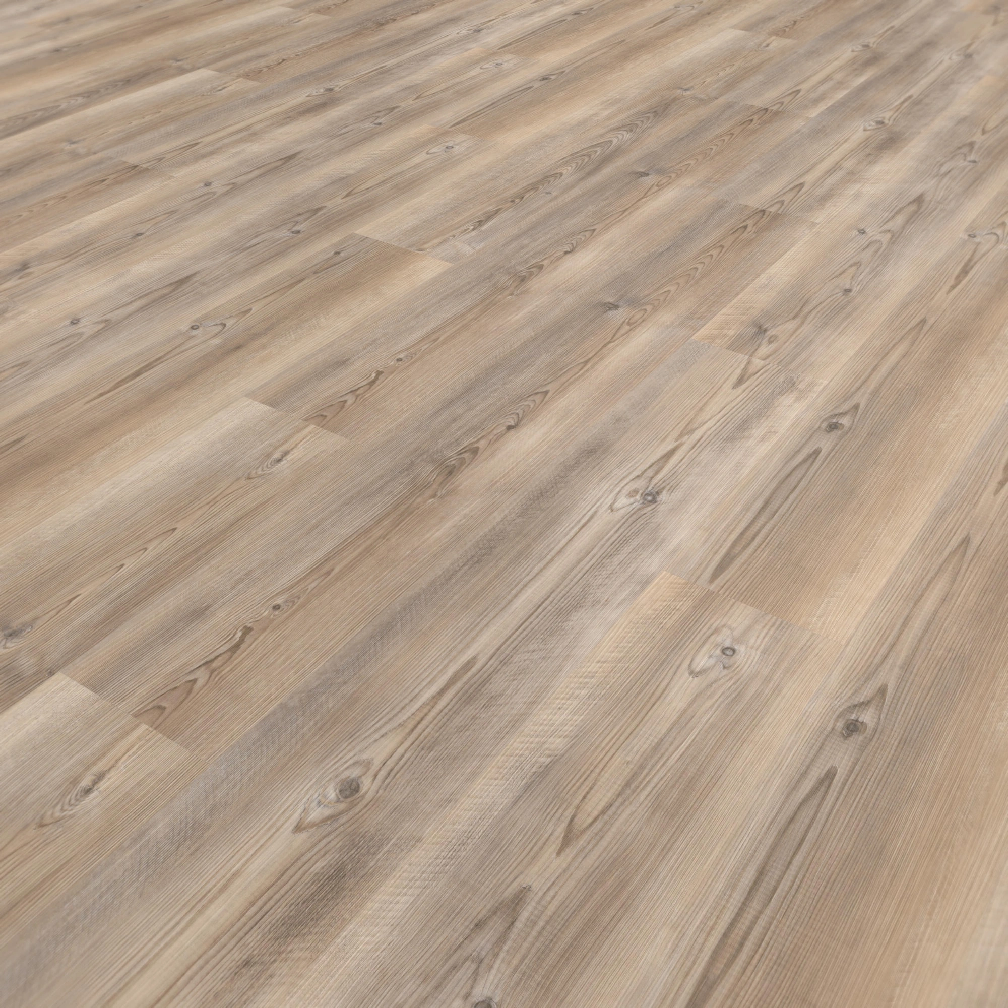 Perspektivische Ansicht - wineo Rigid Klick-Vinyl wineo 400 wood L Coast Pine Taupe Perspektivische Ansicht - wineo RLC284WL