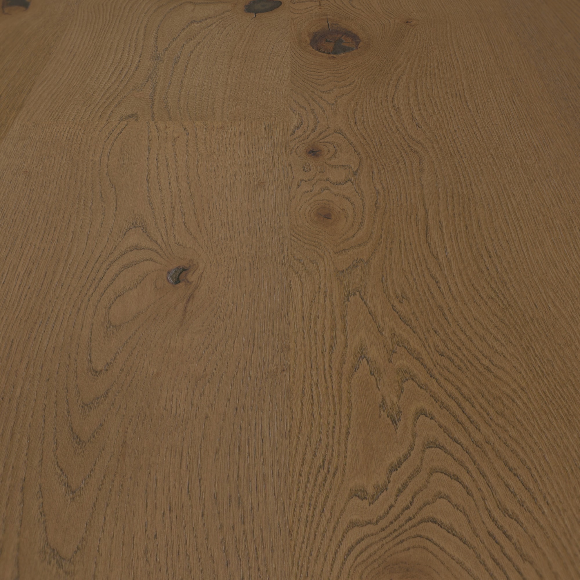 Detail Ansicht - ter Hürne Holzboden Hywood EVO Noblesse Collection Eiche Reivo Detail Ansicht - ter Hürne 1101281113