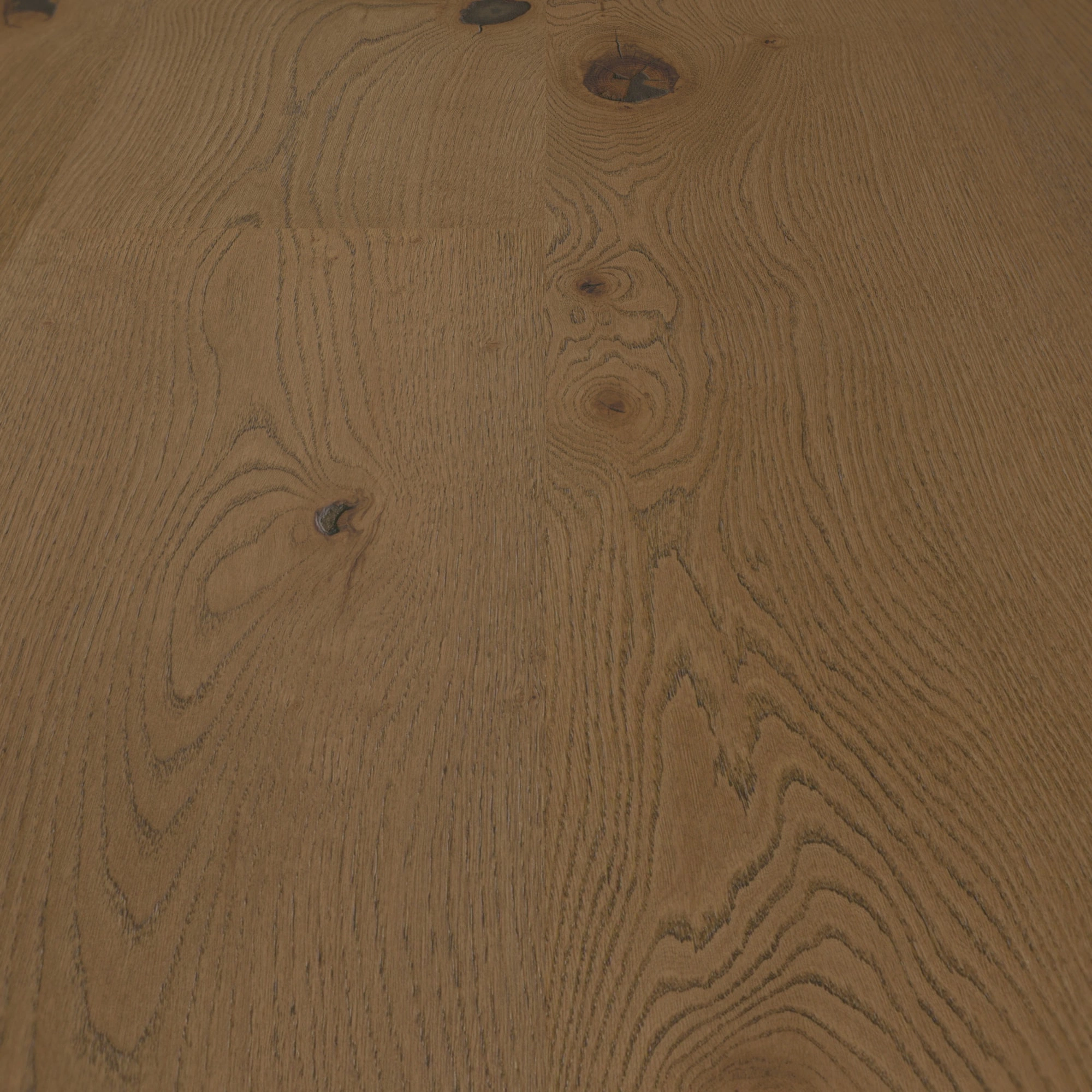 Detail Ansicht - ter Hürne Holzboden Hywood EVO Noblesse Collection Eiche Reivo Detail Ansicht - ter Hürne 1101281113