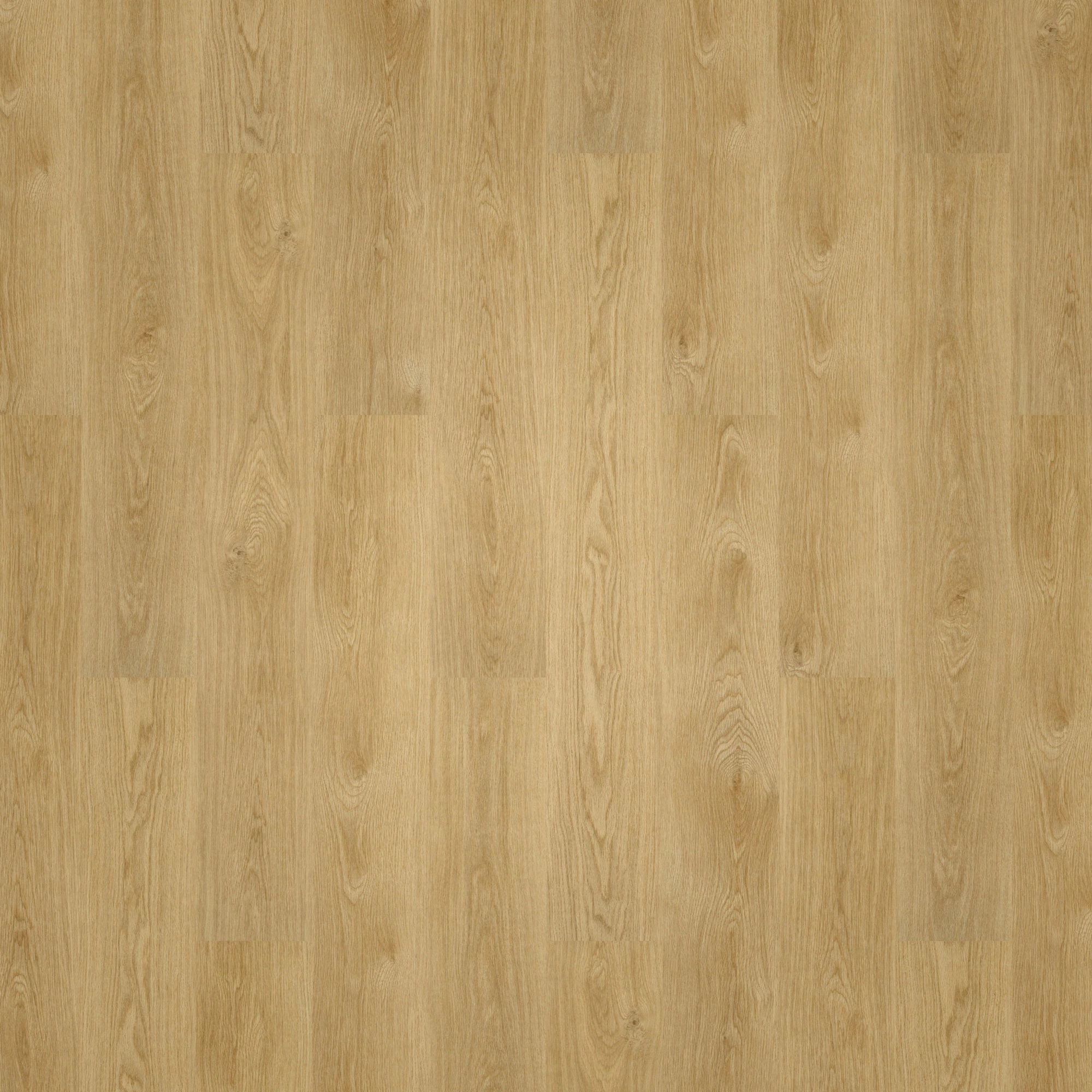Draufsicht - Forbo Flooring Klebe-Vinyl Enduro Dryback Wood Pure Oak Draufsicht - Forbo Flooring 217620