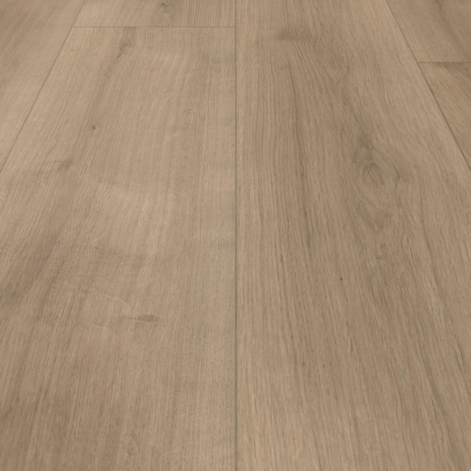 Parador HDF Klick-Designboden Modular ONE Eiche Pure perlgrau Holzstruktur Schlossdiele