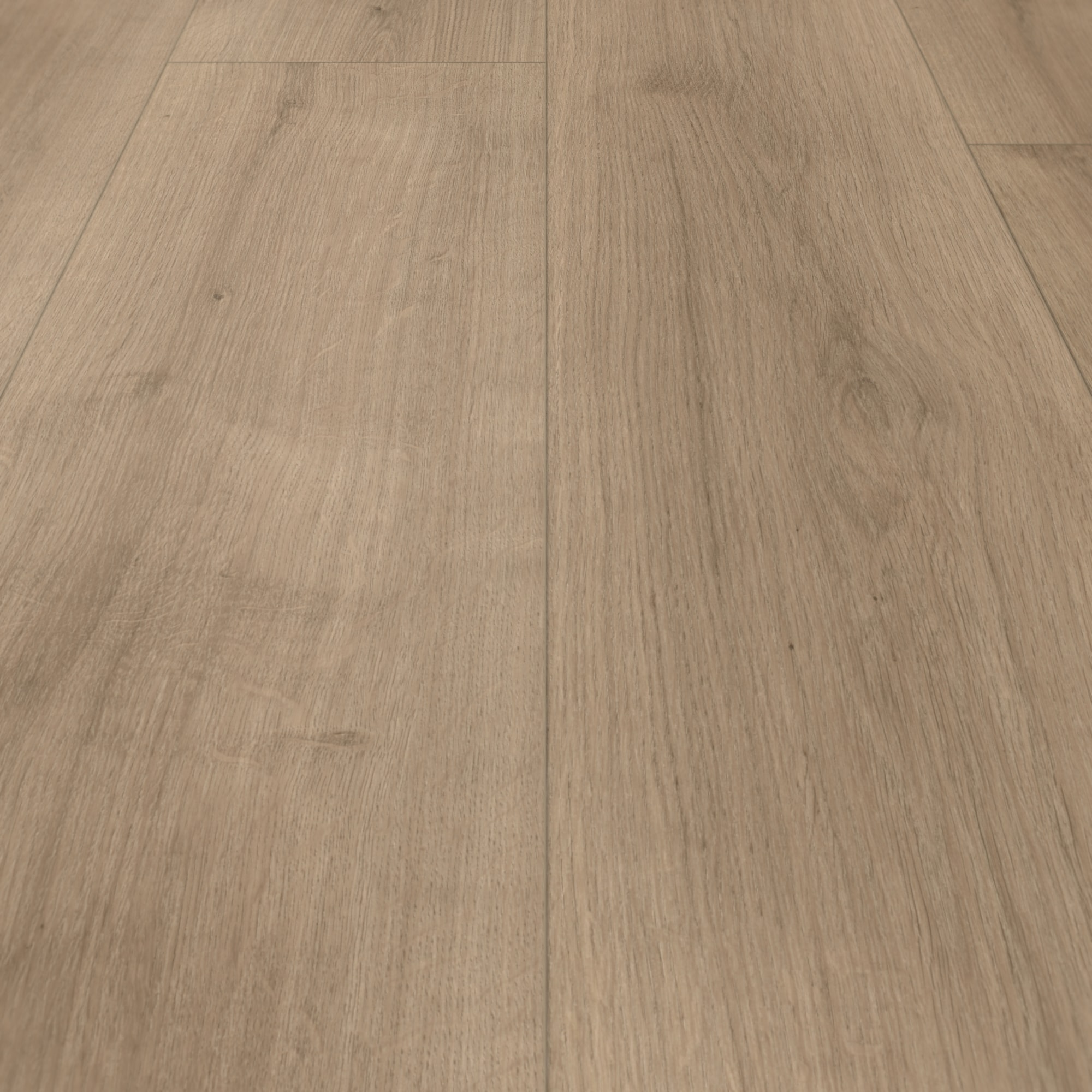 Parador HDF Klick-Designboden Modular ONE Eiche Pure perlgrau Holzstruktur Schlossdiele Parador HDF Klick-Designboden Modular ONE Eiche Pure perlgrau Holzstruktur Schlossdiele