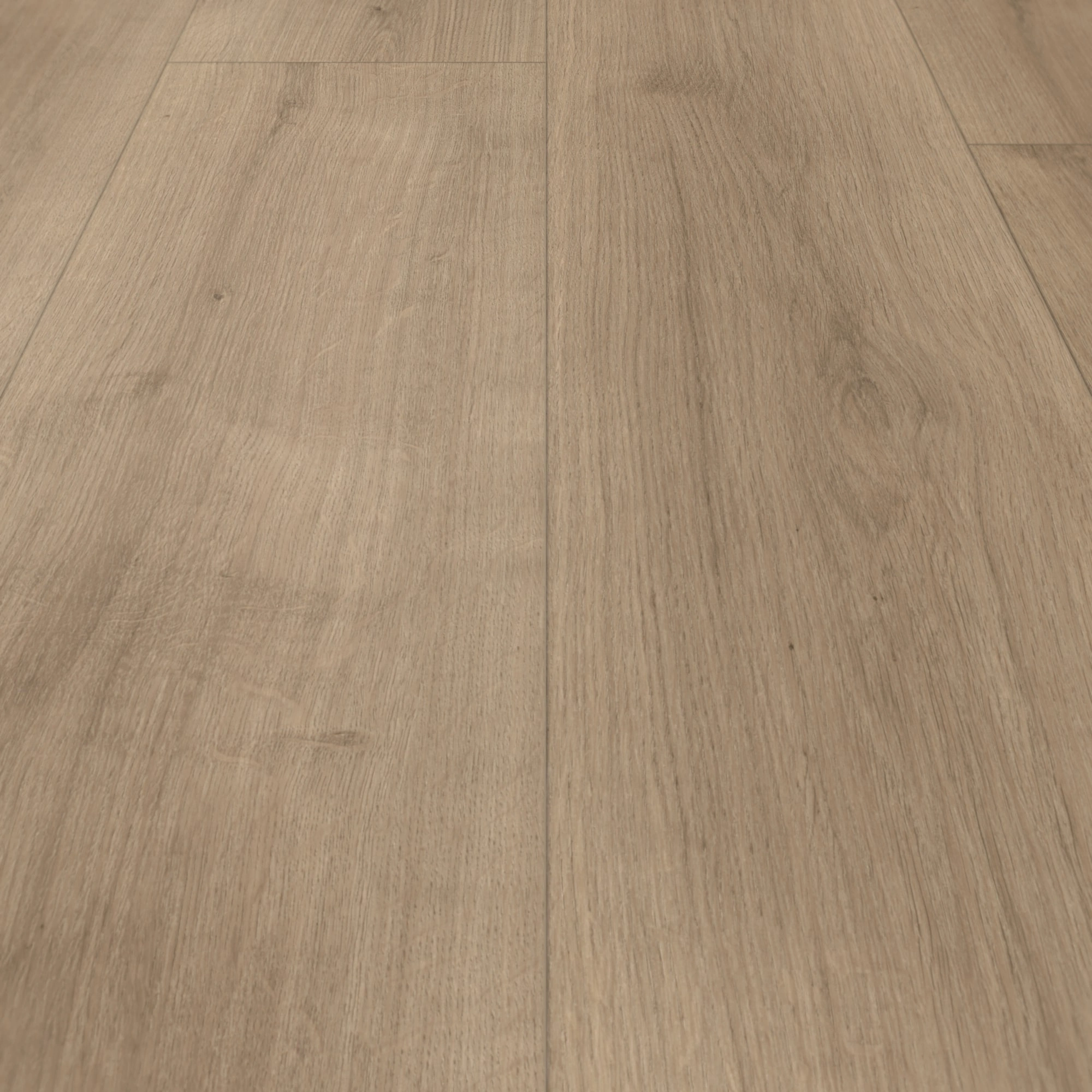 Parador HDF Klick-Designboden Modular ONE Eiche Pure perlgrau Holzstruktur Schlossdiele Parador HDF Klick-Designboden Modular ONE Eiche Pure perlgrau Holzstruktur Schlossdiele
