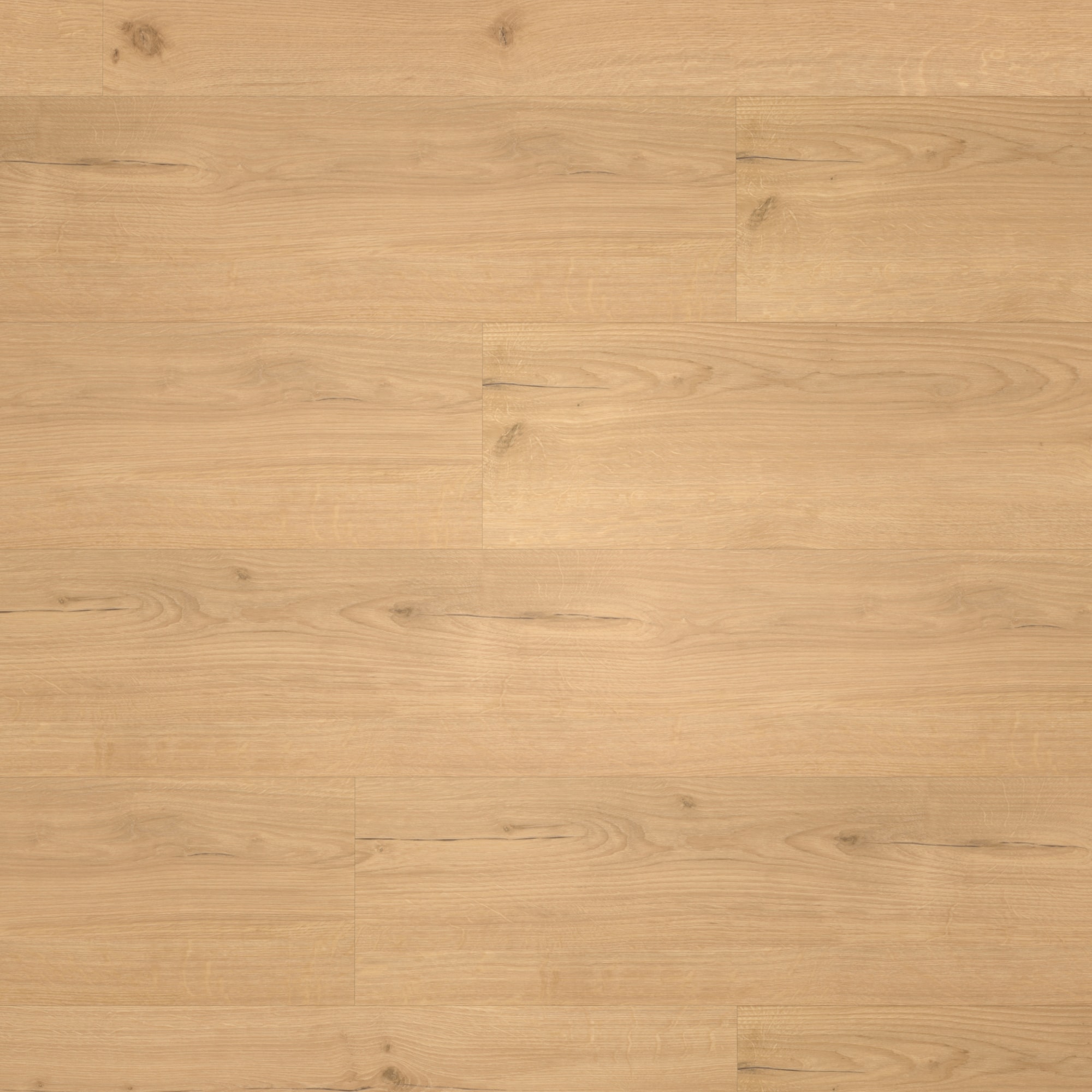 Draufsicht - Parador HDF Klick-Vinyl Basic 30 Eiche Infinity natur Draufsicht - Parador 1730634