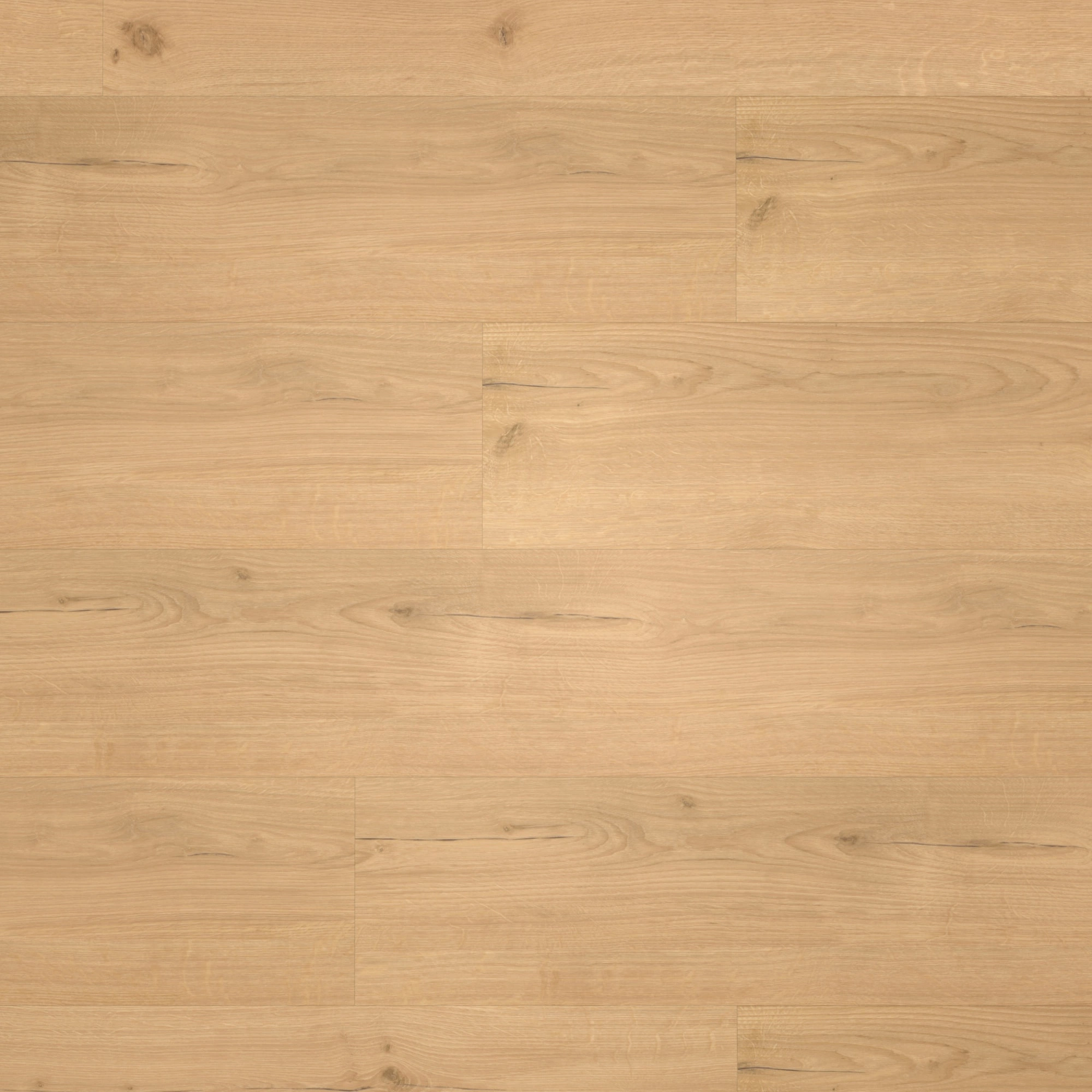 Draufsicht - Parador HDF Klick-Vinyl Basic 30 Eiche Infinity natur Draufsicht - Parador 1730634