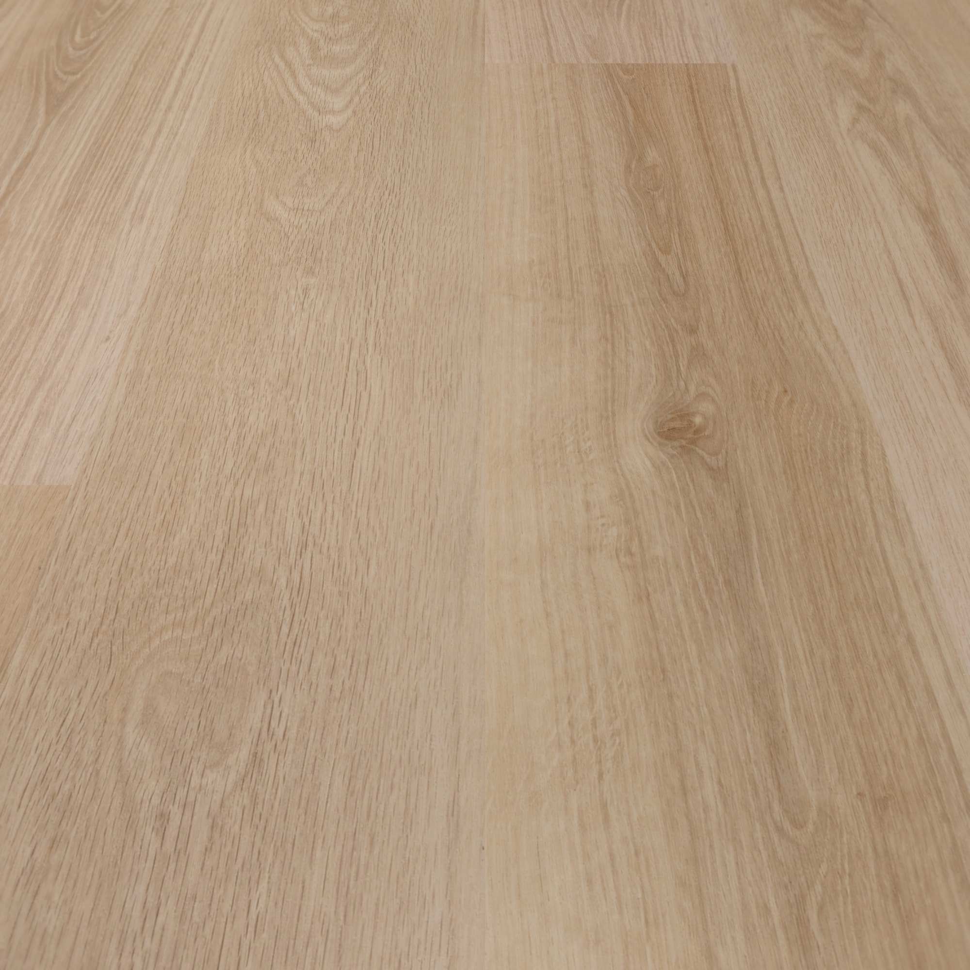 Detail Ansicht - BerryAlloc Klebe-Vinyl Zenn Gluedown 55 Orlando Detail Ansicht - BerryAlloc 60002252