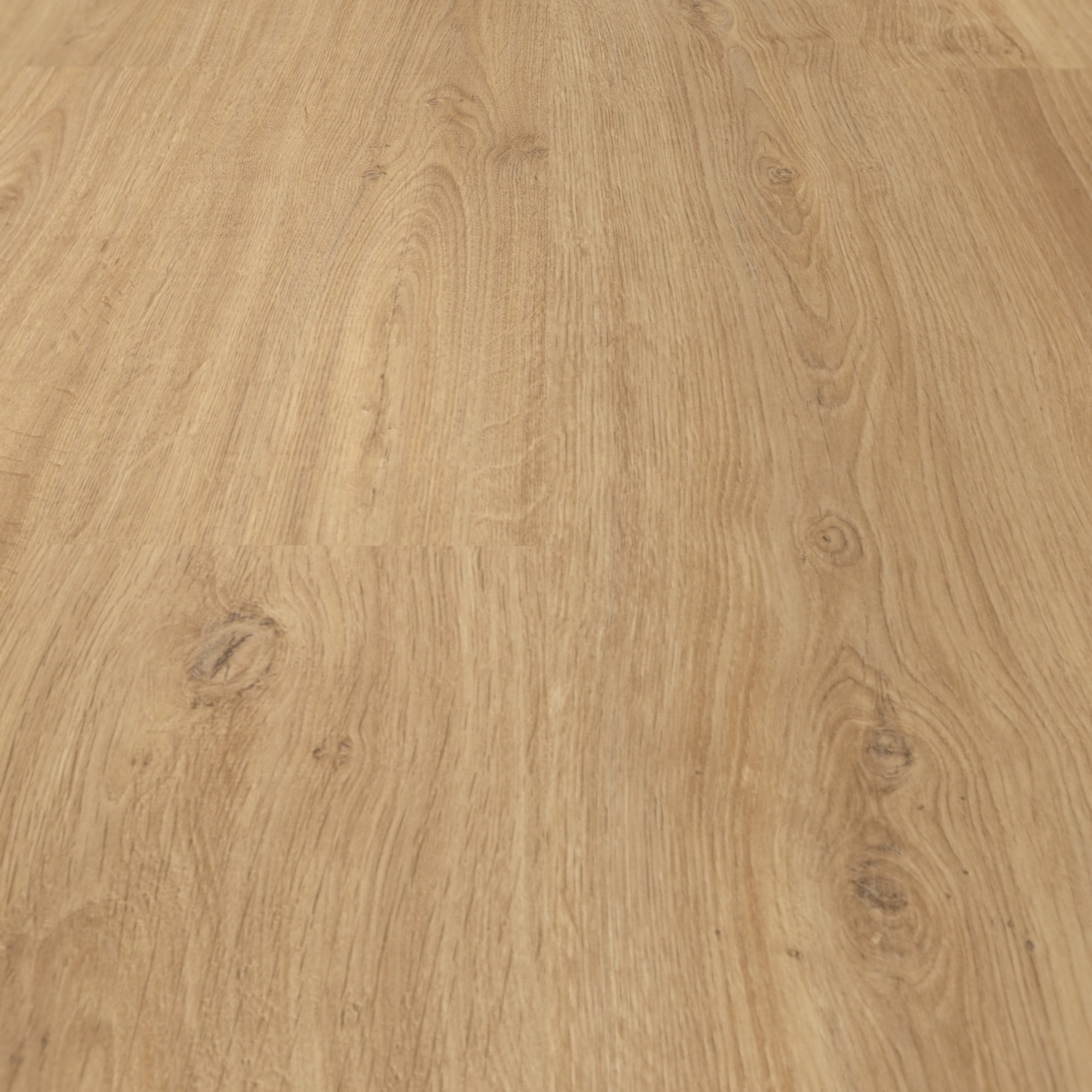 Detail Ansicht - MEISTER Laminat LC 150 Eiche Nova Detail Ansicht - MEISTER 600014-1288198-06413