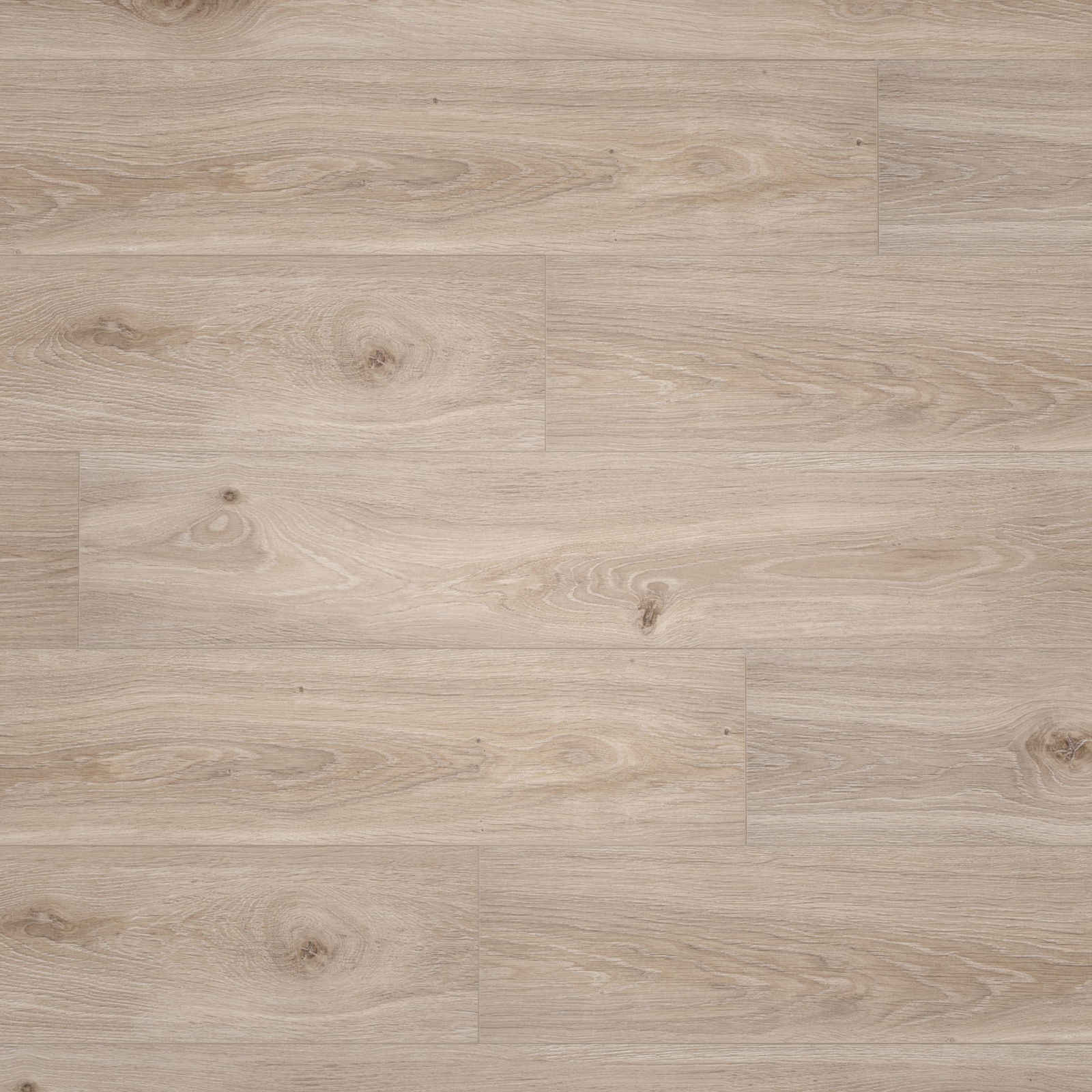 BerryAlloc Laminat Ocean 8 V4 Bloom Light Natural Wood Structure